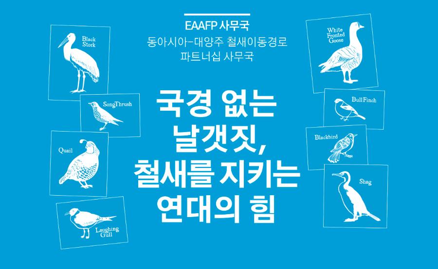 국경 없는  날갯짓,  철새를 지키는  연대의 힘 (사진)