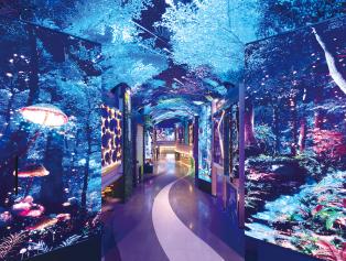 차가운 계절 속 포근하게 머무는 순간 (사진)