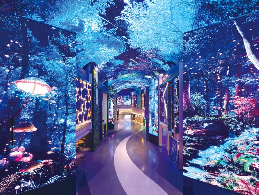 차가운 계절 속 포근하게 머무는 순간 (사진)