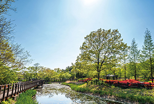 An Ecological Journey with Fresh Nature in IFEZ <!-- Not Allowed Tag Filtered --><IFEZ NATURE TRI (사진)