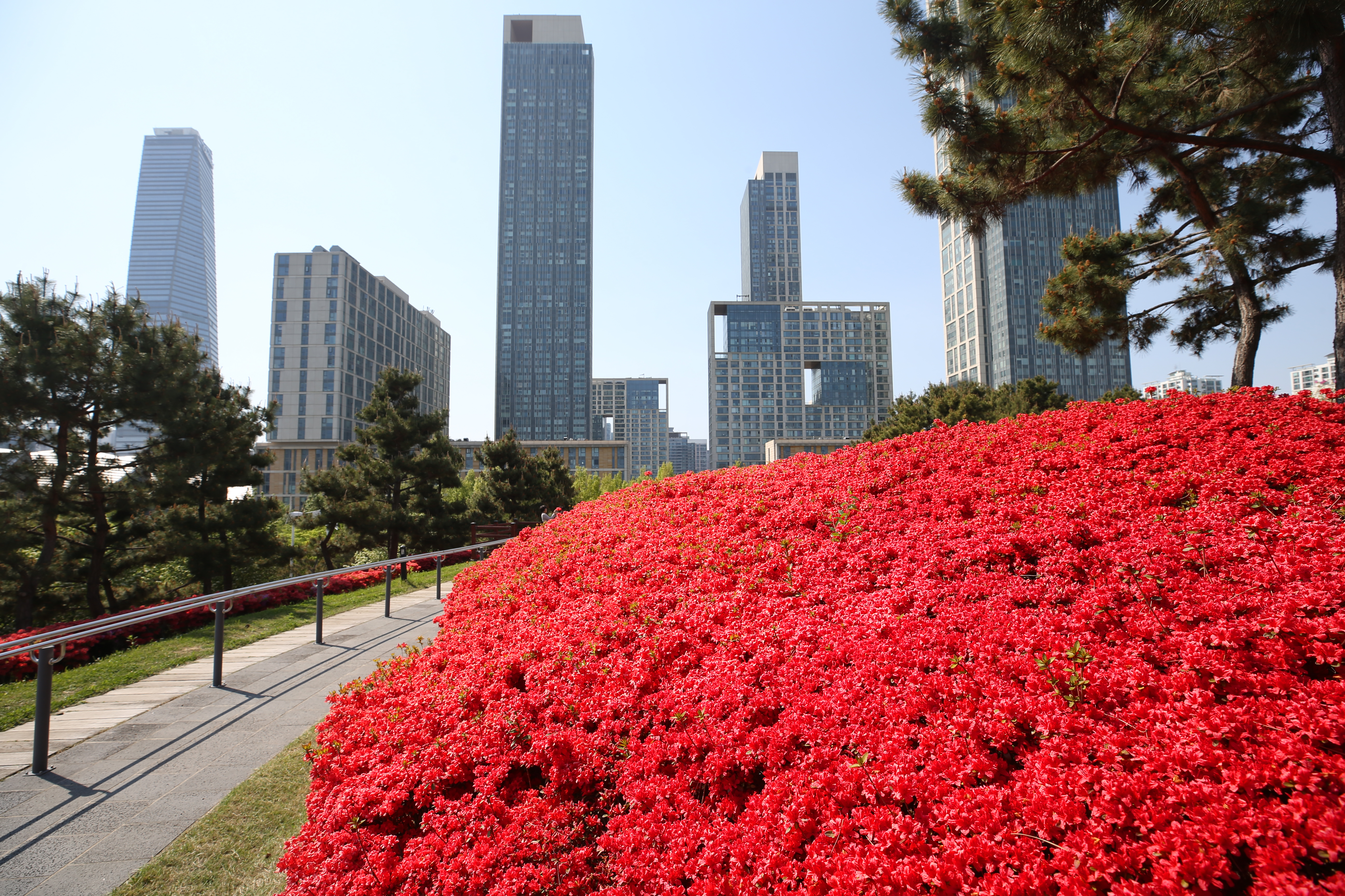 (220502)송도국제도시(6757)-원본