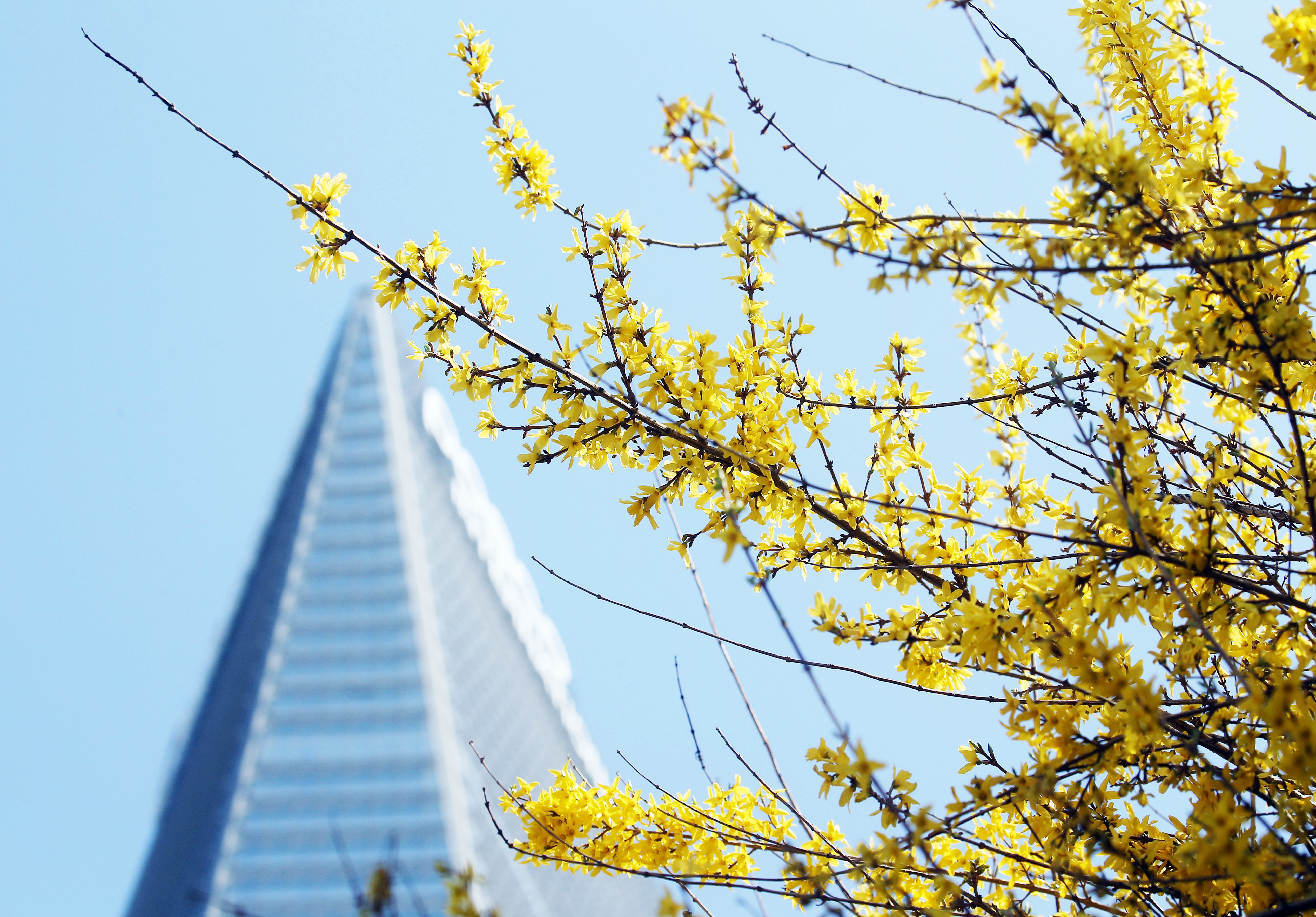 (250408)송도국제도시(0801)-원본
