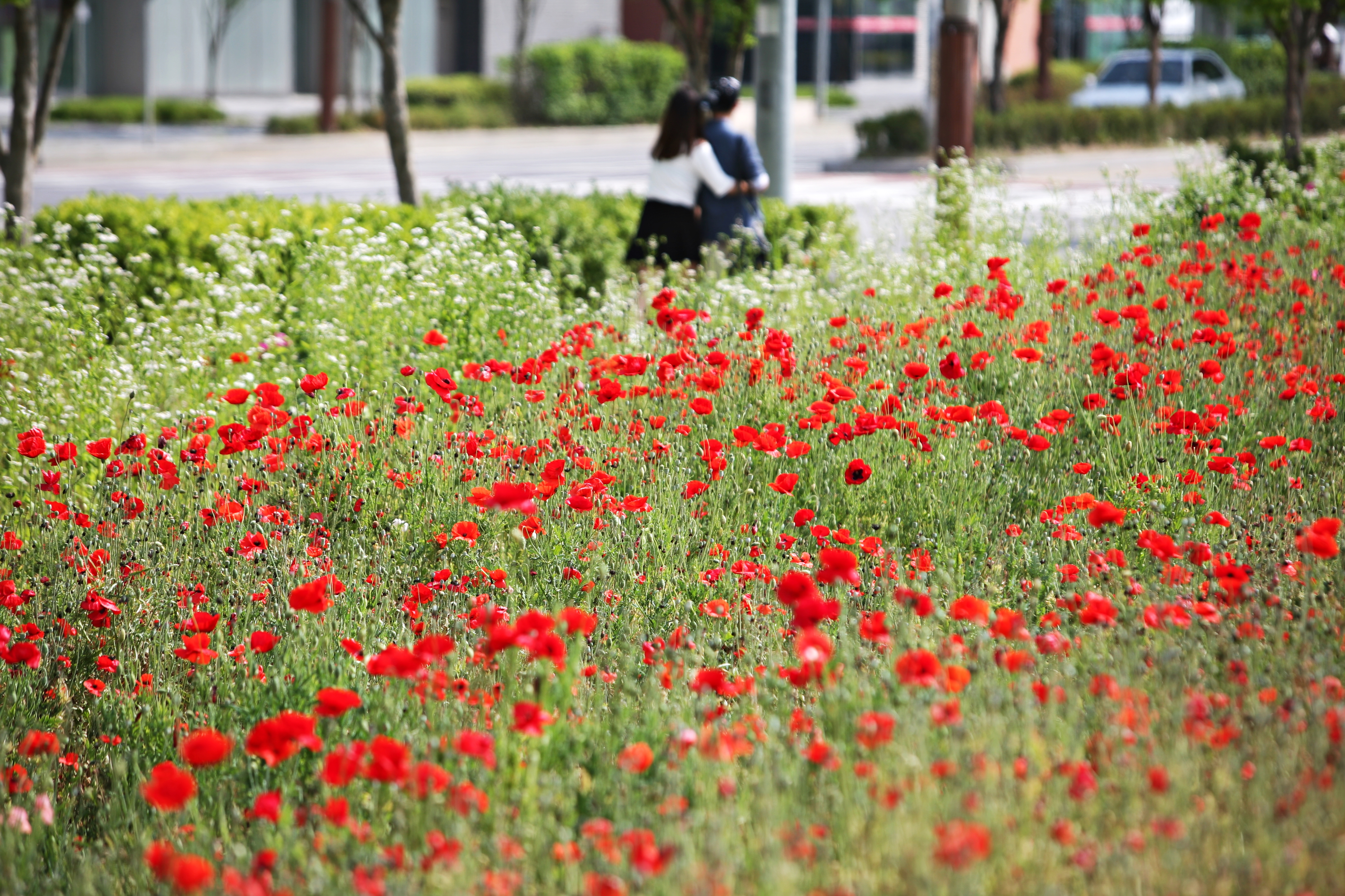 (150601)IFEZ 송도국제도시(4414)-원본