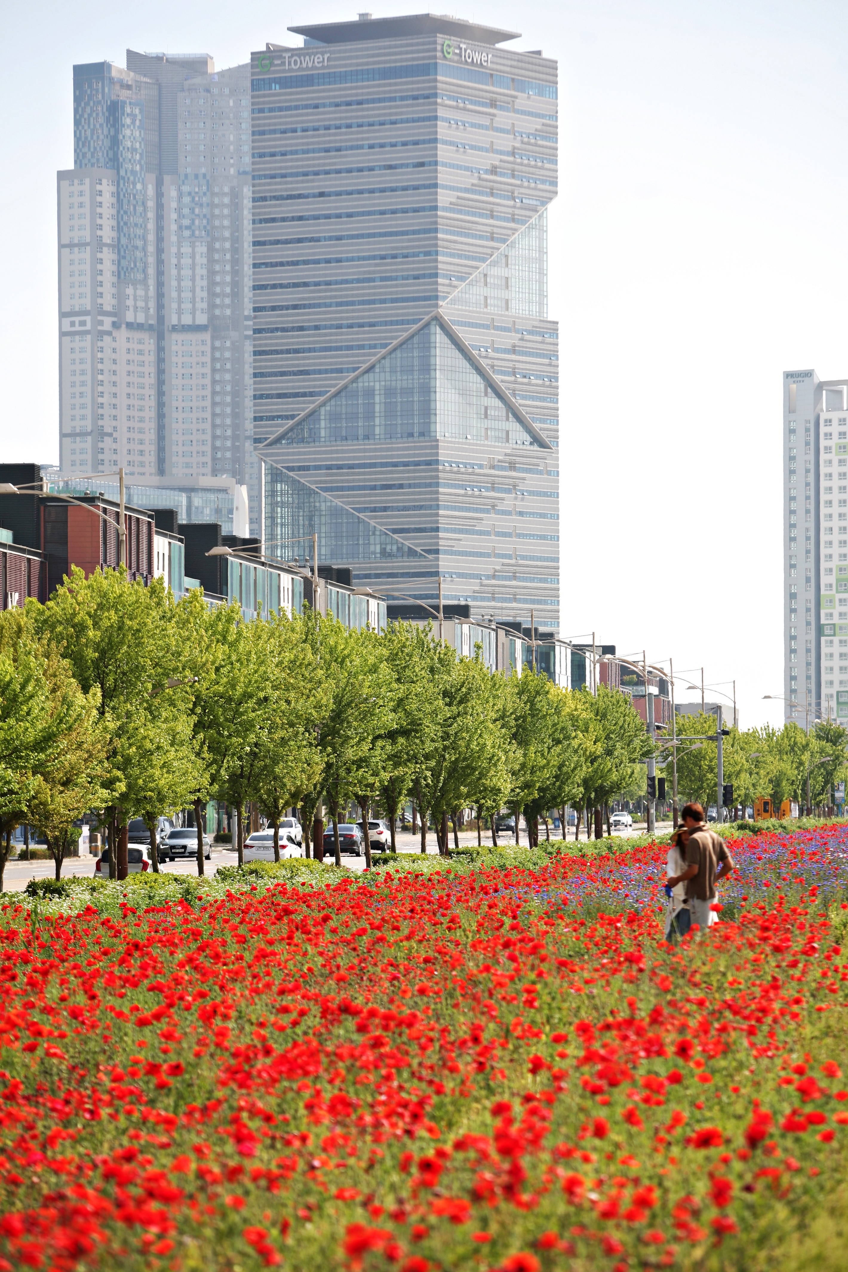 (150601)IFEZ 송도국제도시(4411)-원본