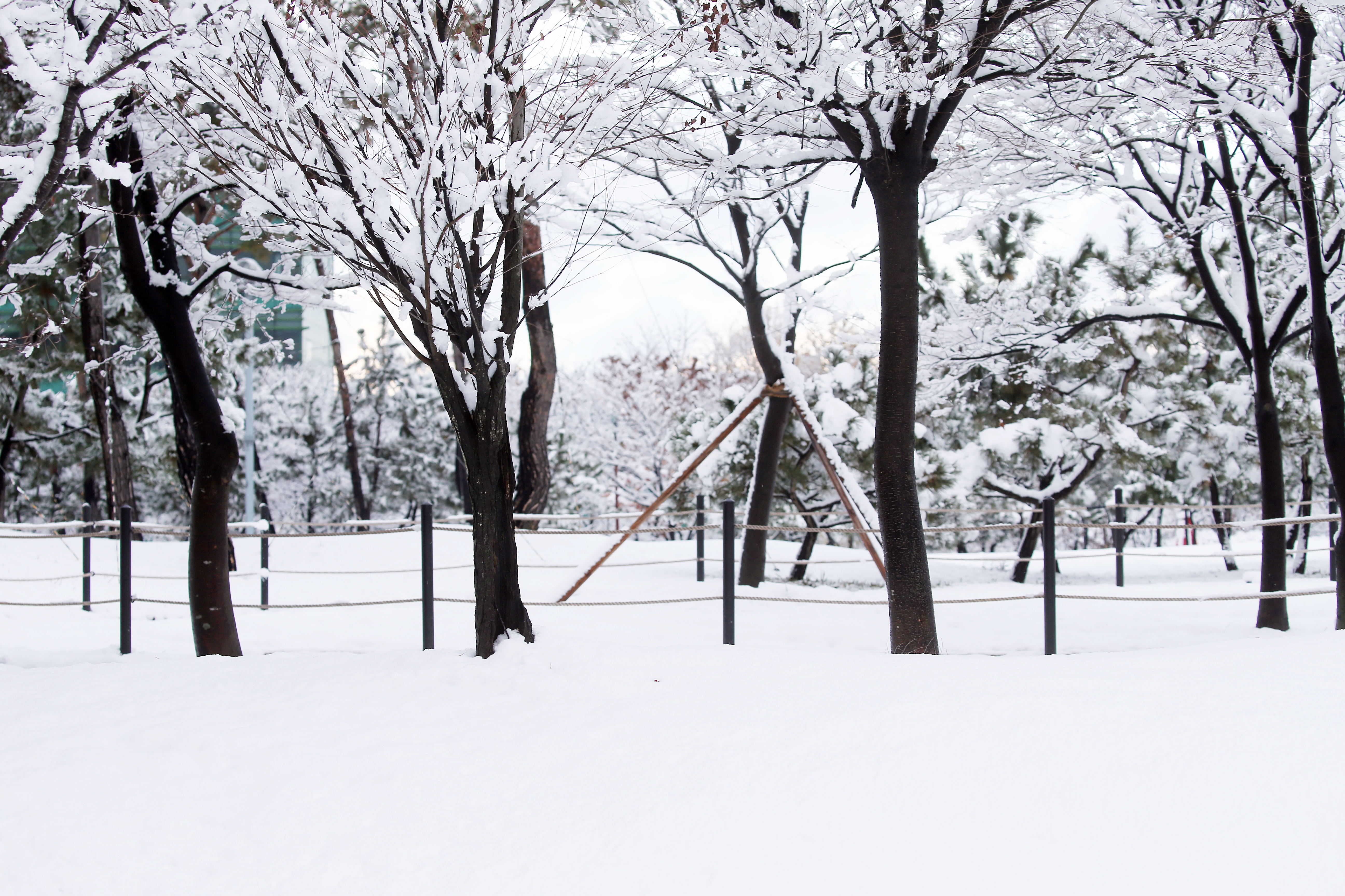 (241127)IFEZ 송도국제도시(1479)-원본