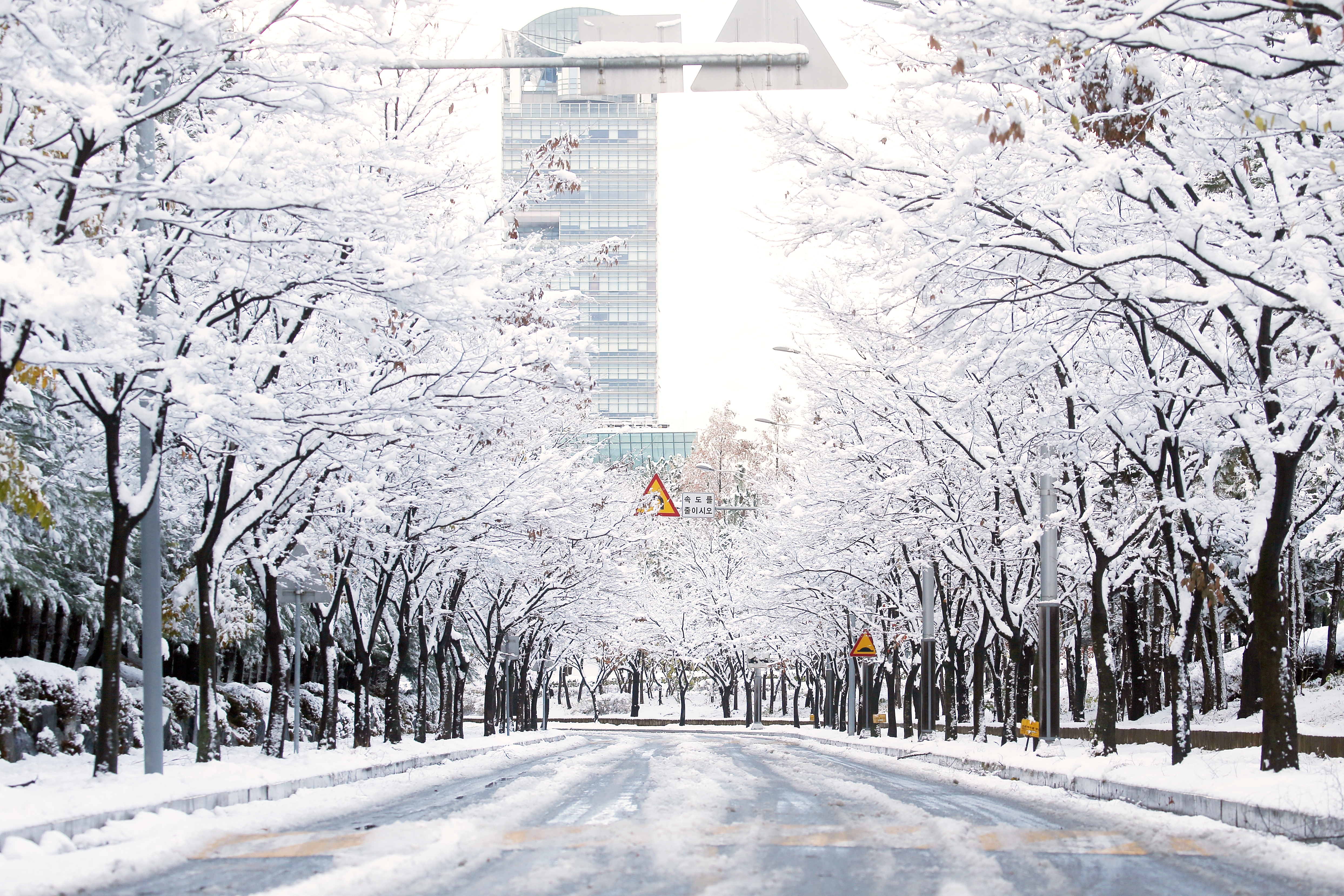 (241127)IFEZ 송도국제도시(1456)-원본