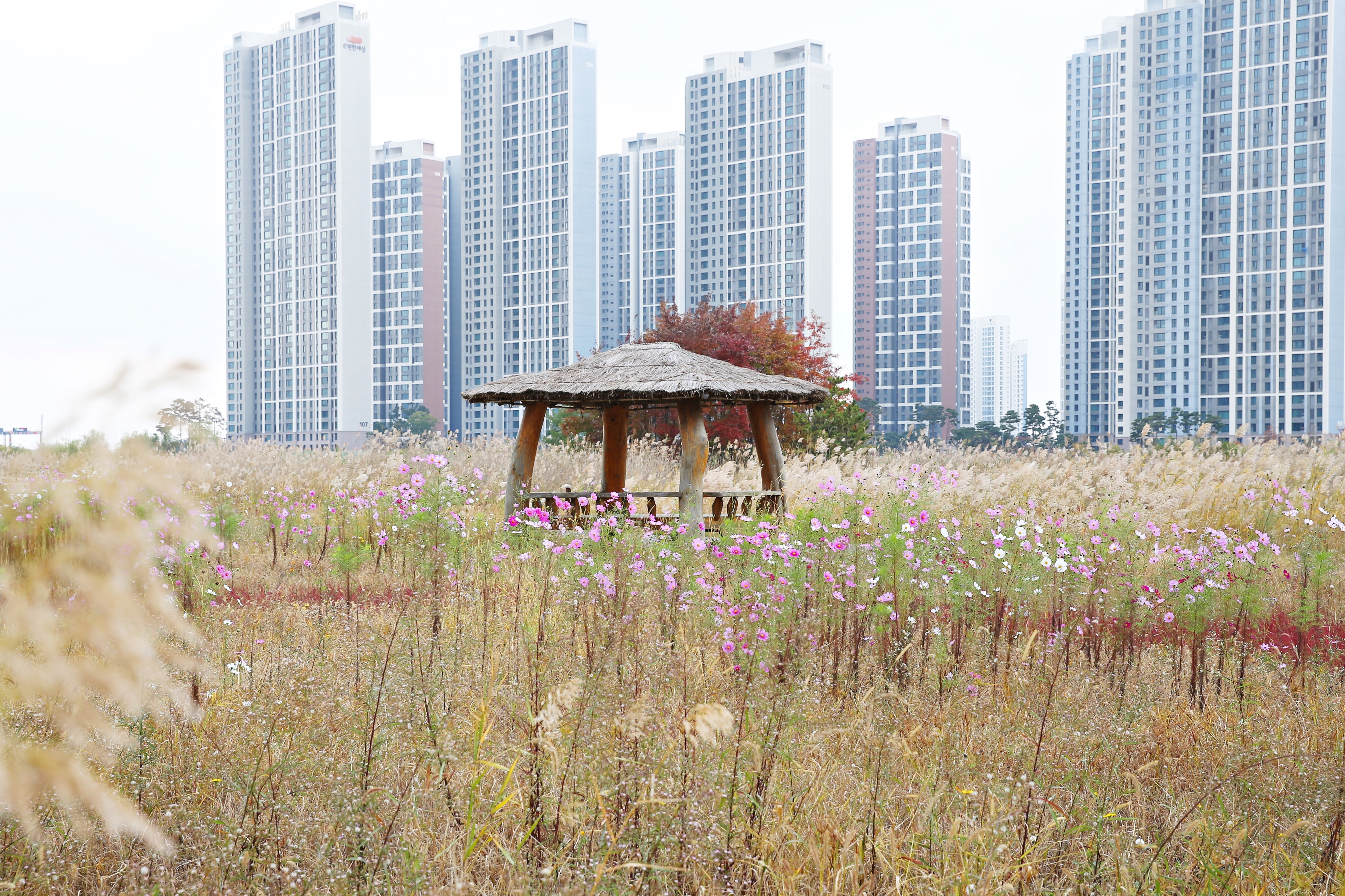 (231024)송도국제도시(6922)-원본