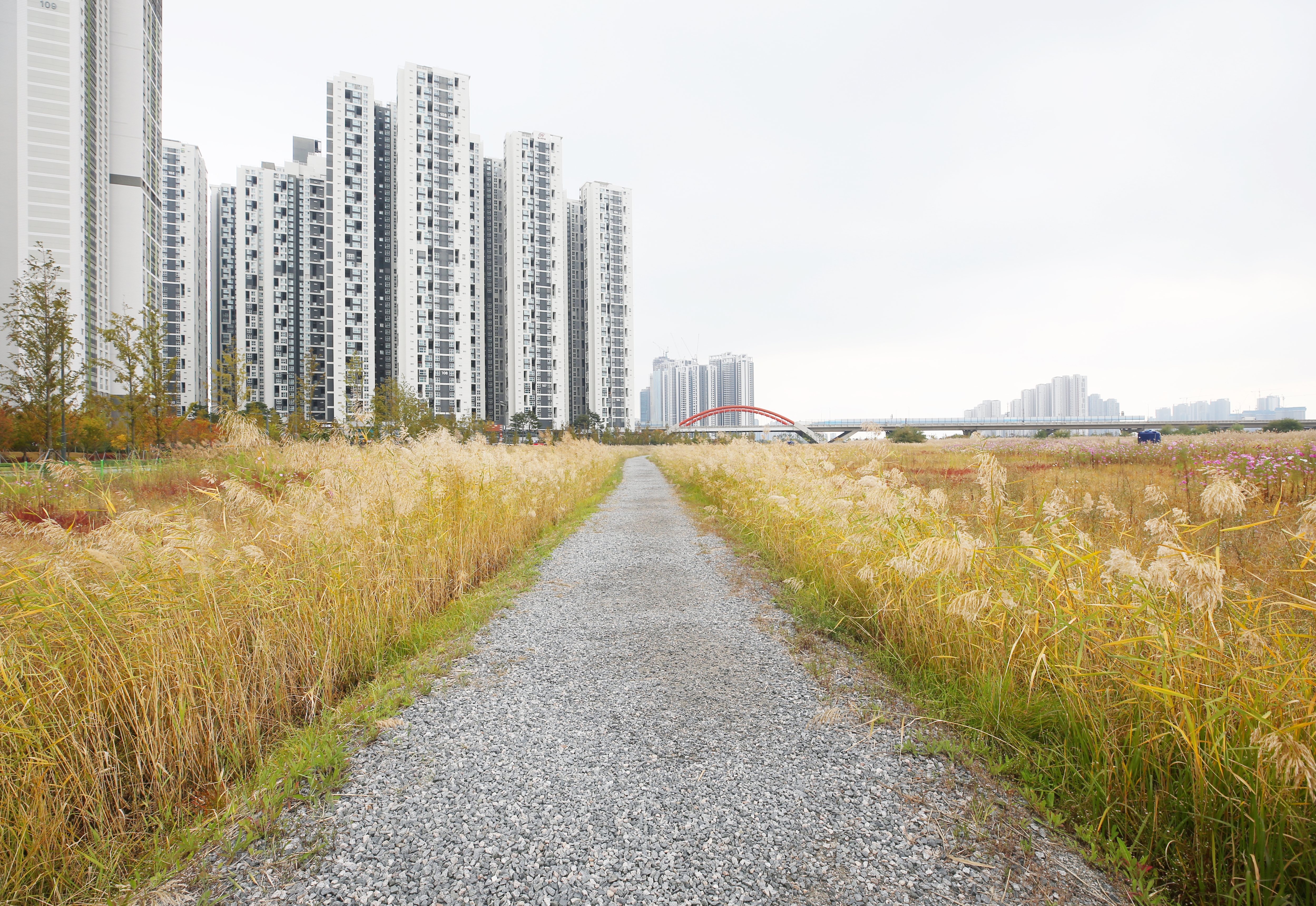 (231024)송도국제도시(6921)-원본