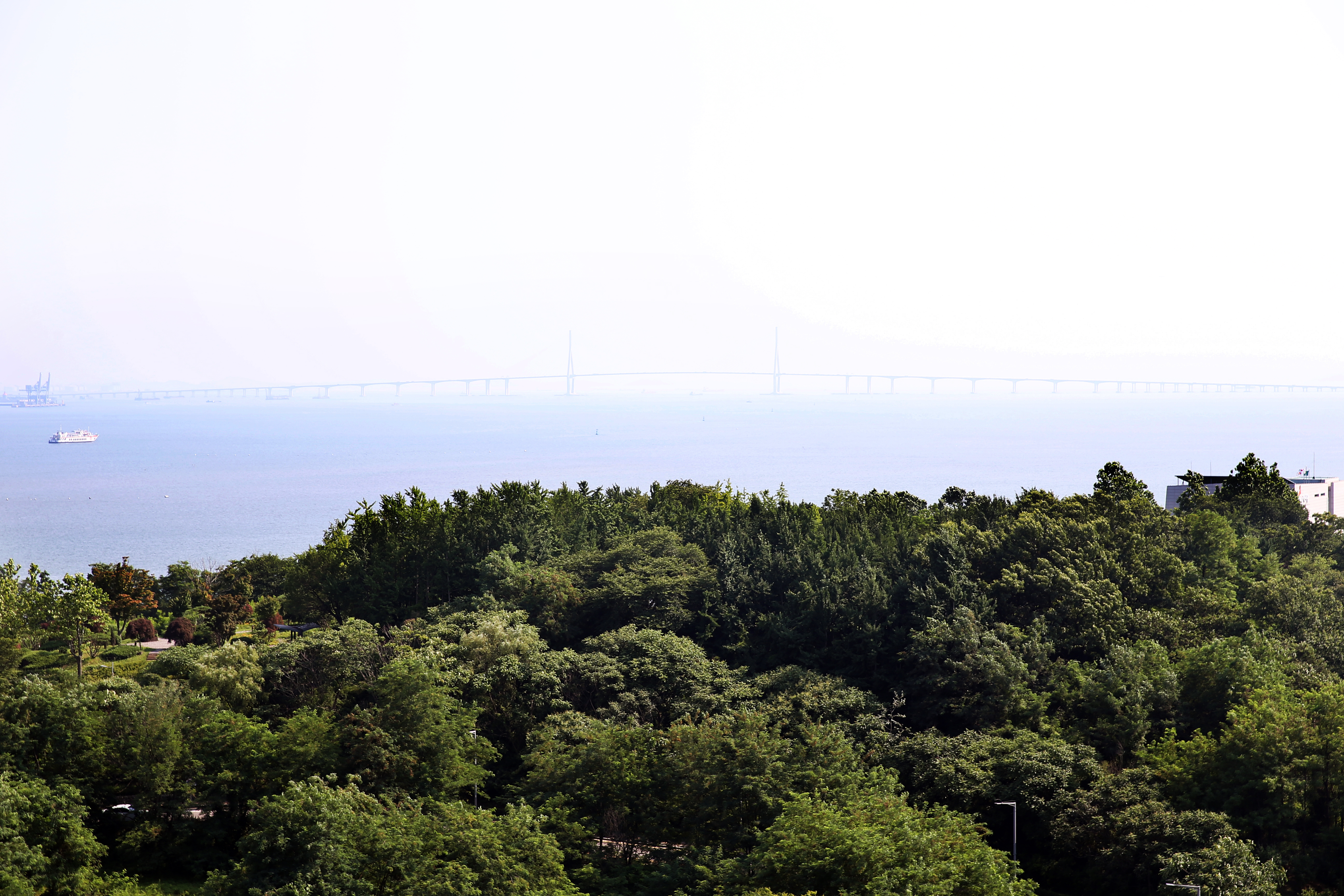 (250725)영종국제도시(6208)
