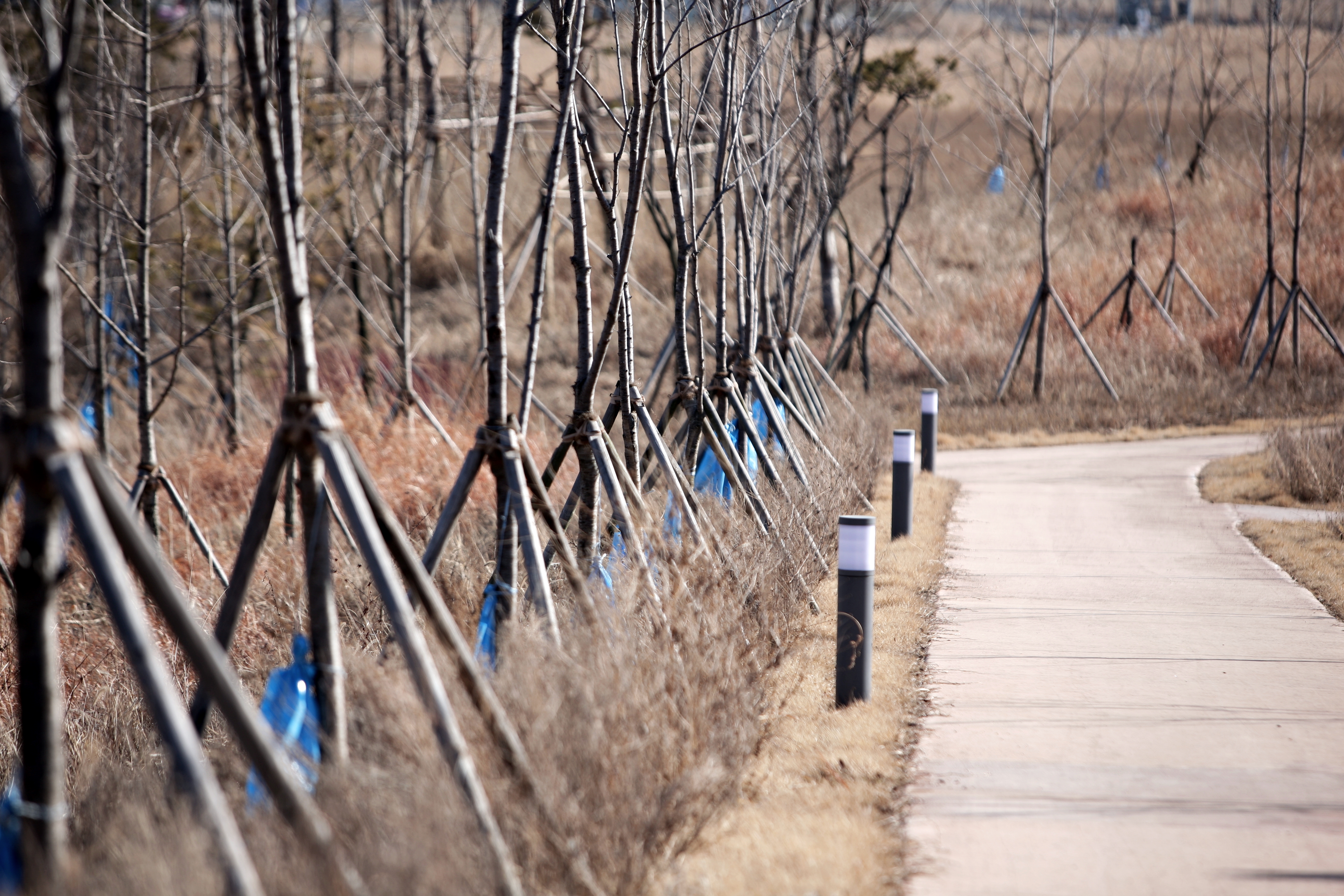 (150224)IFEZ 송도국제도시-달빛축제공원(1480)-원본