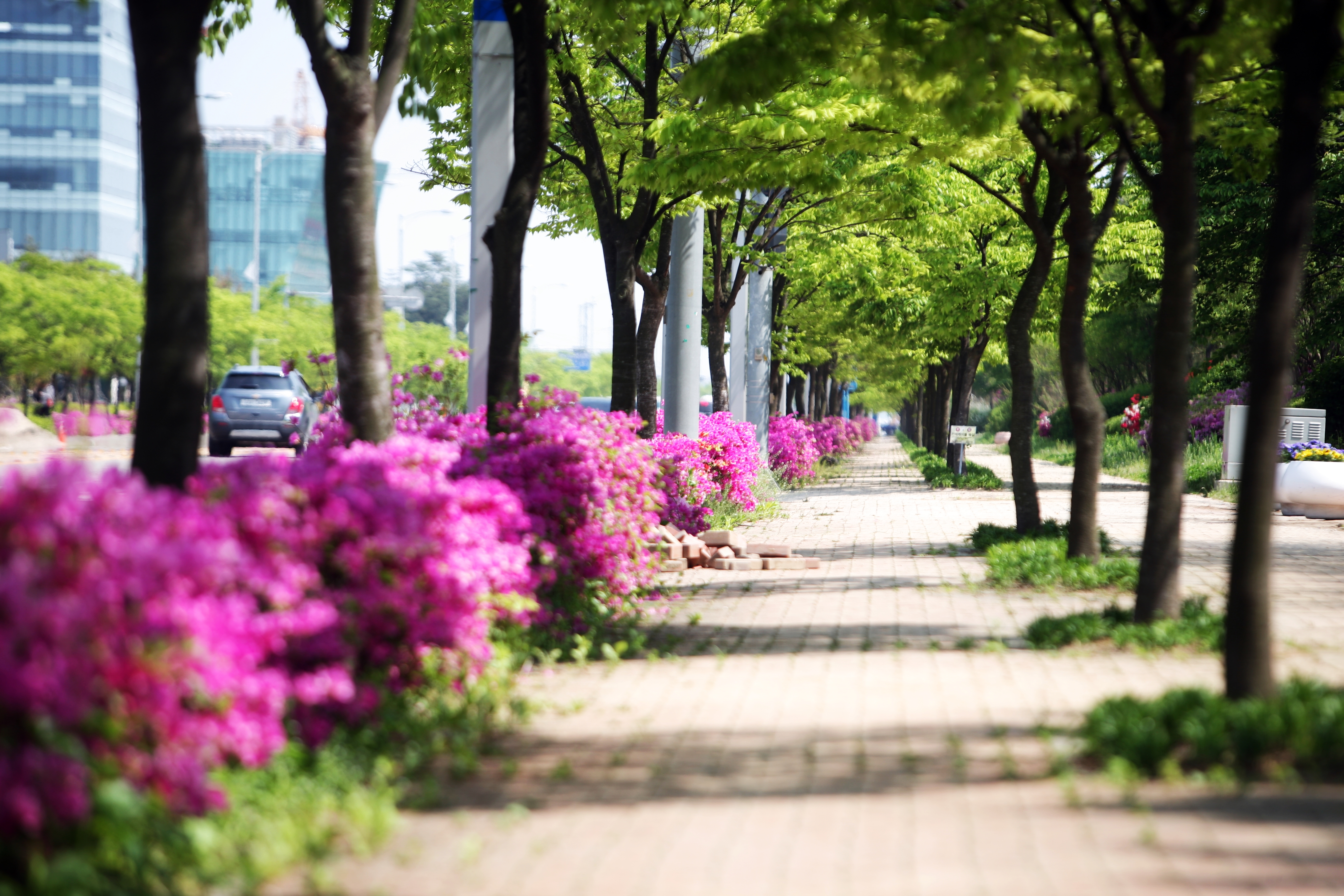 (150501)IFEZ 송도국제도시(7743)-원본