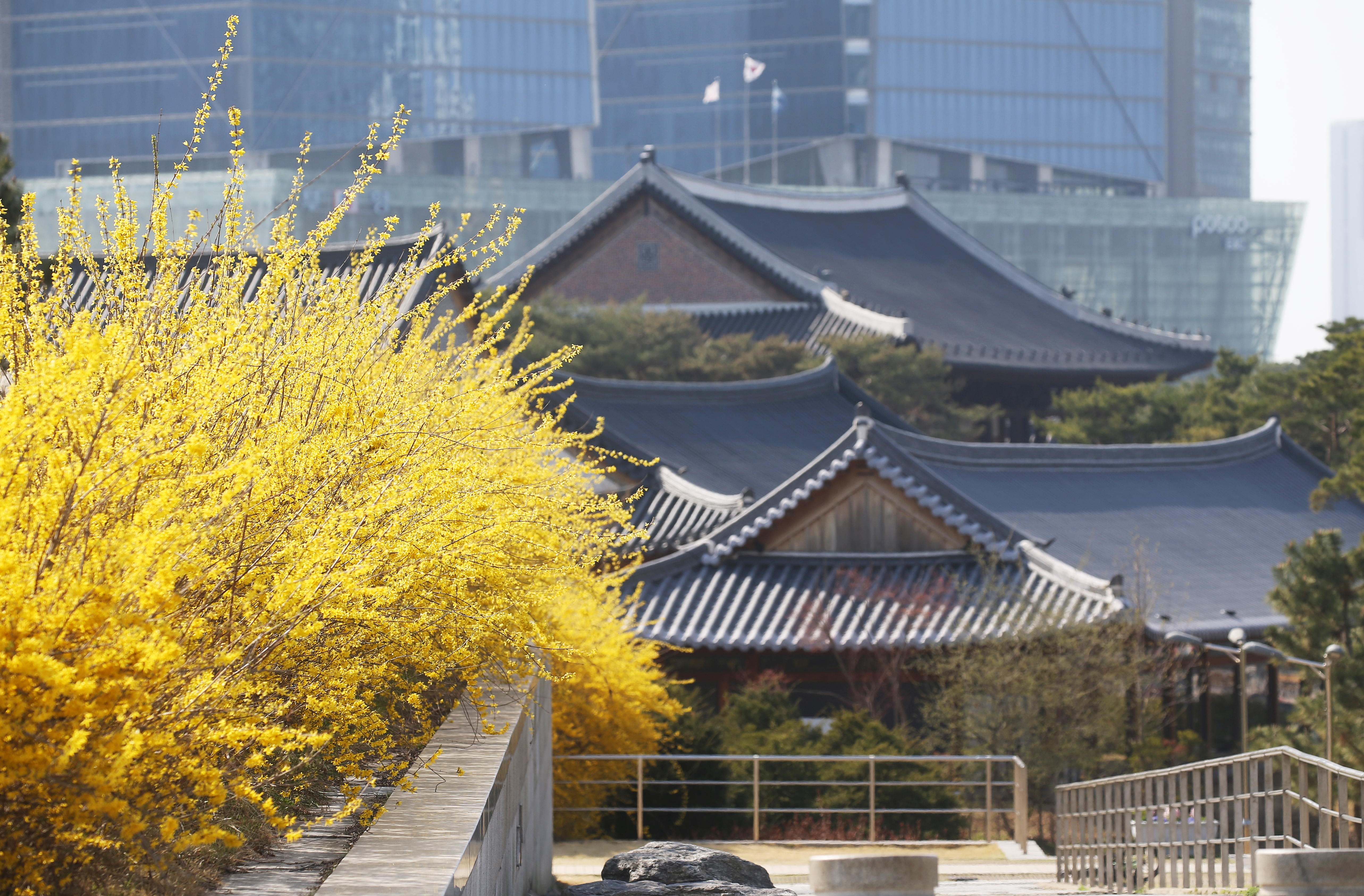 (250408)송도국제도시(0802)-원본