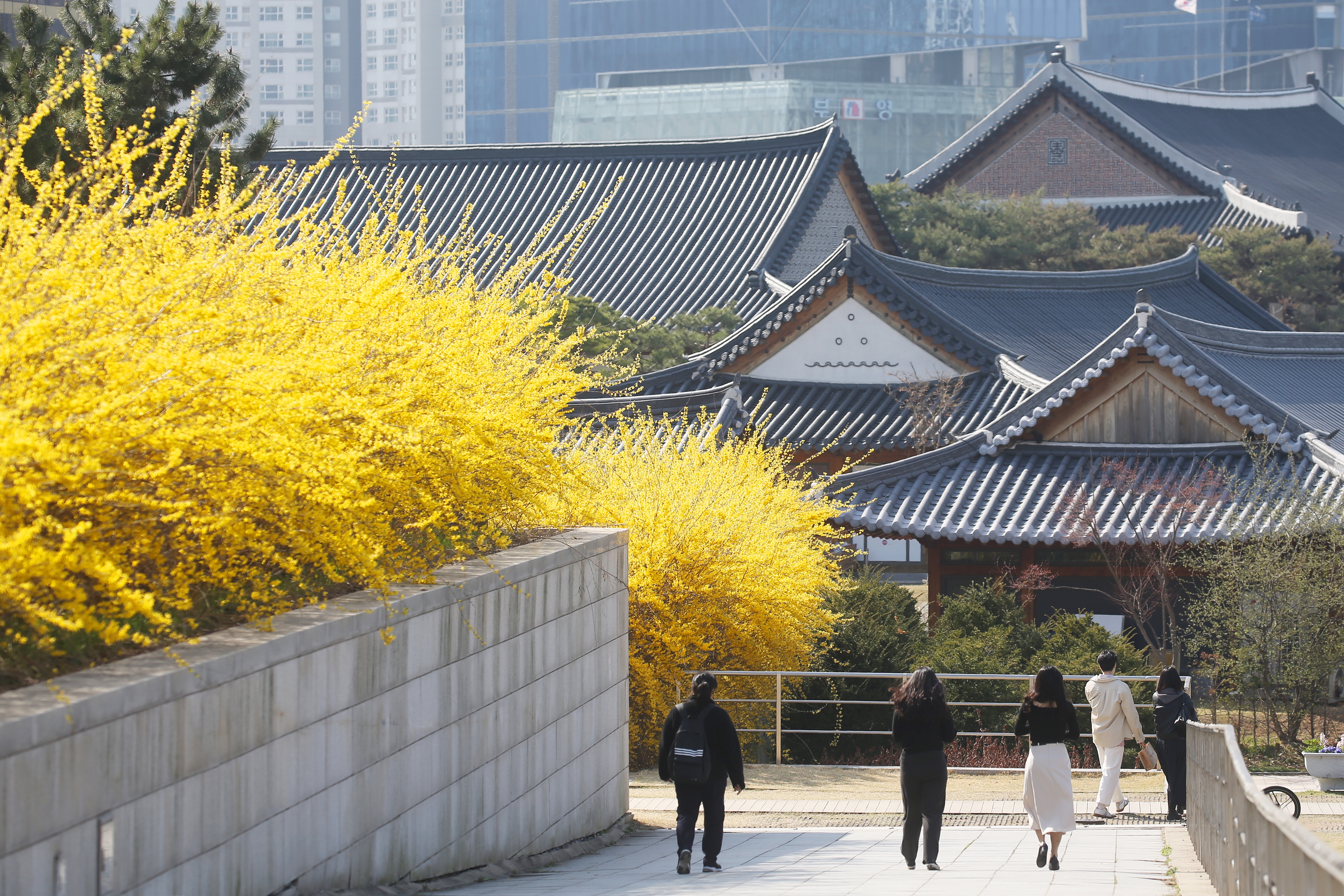 (250408)송도국제도시(0804)-원본