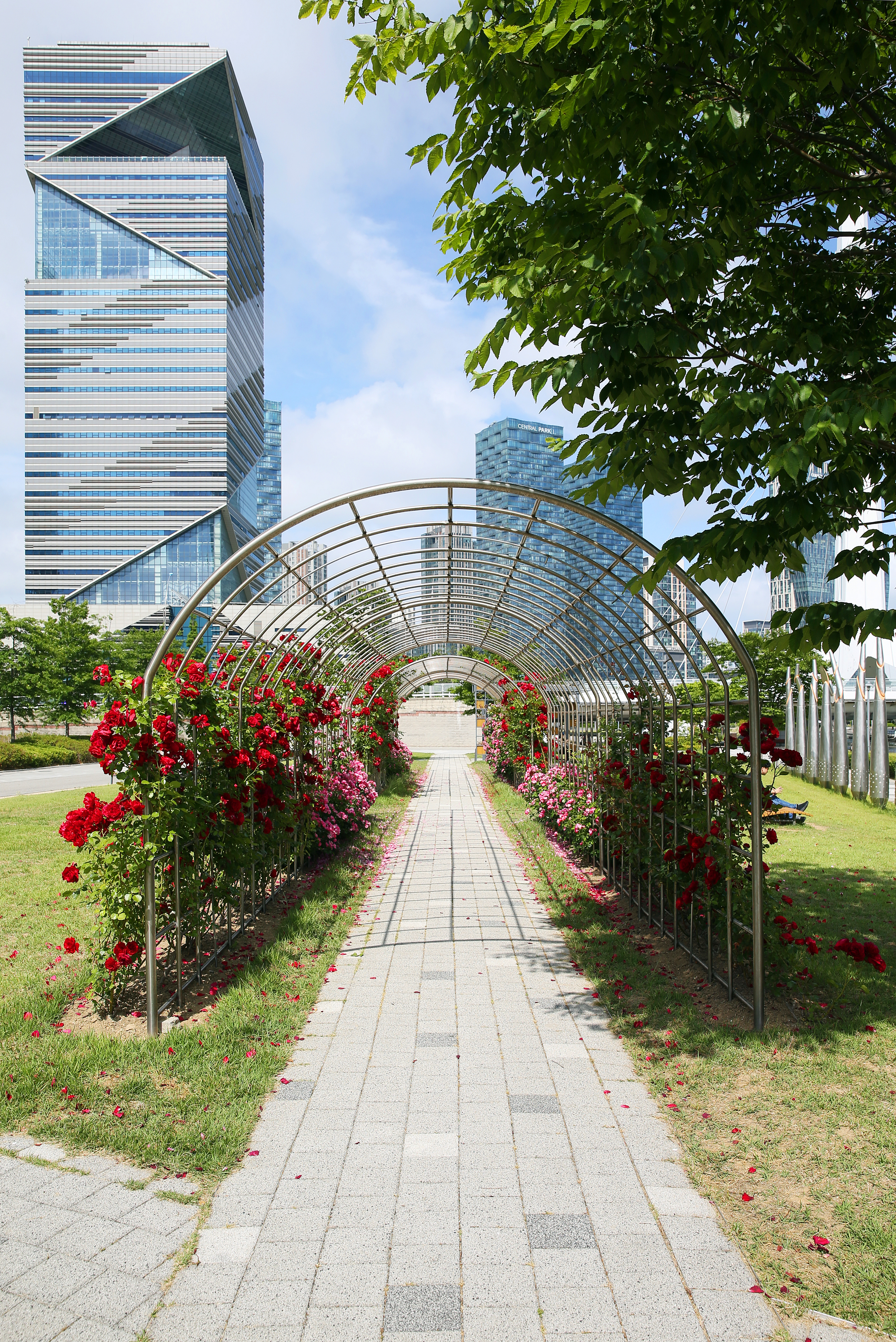 (250610)송도국제도시(4568)