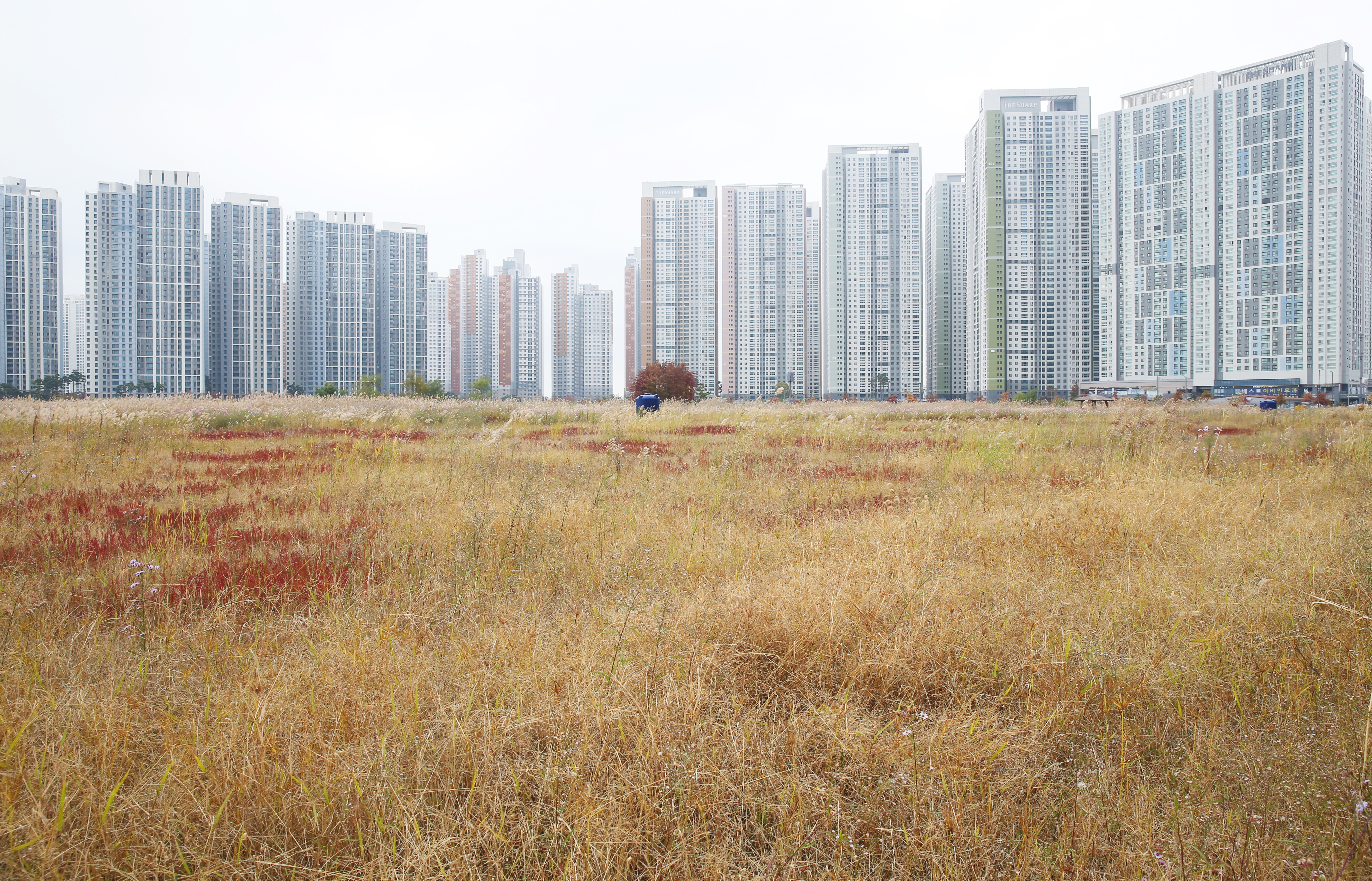 (231024)송도국제도시(6923)-원본