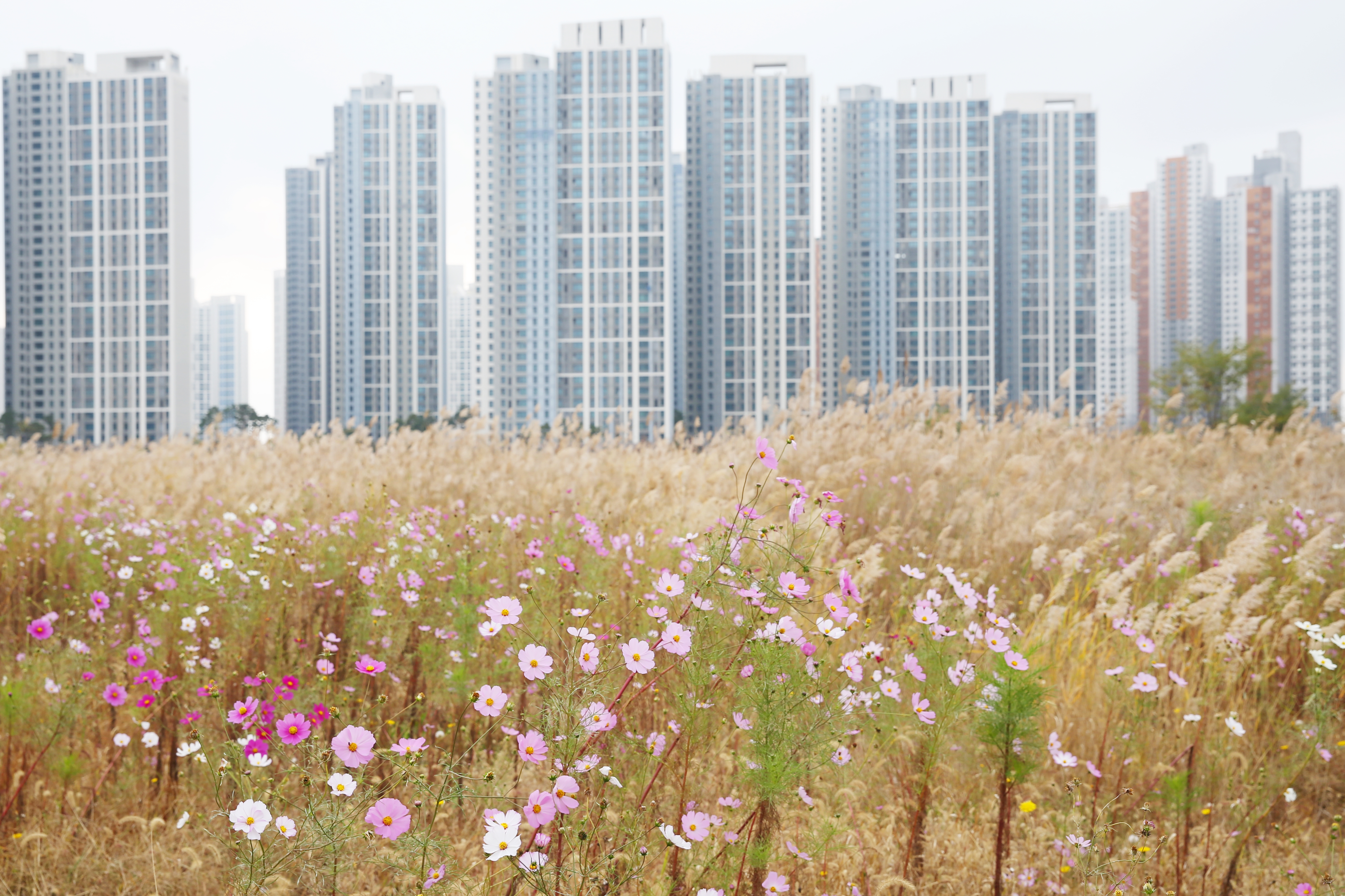 (231024)송도국제도시(6928)-원본