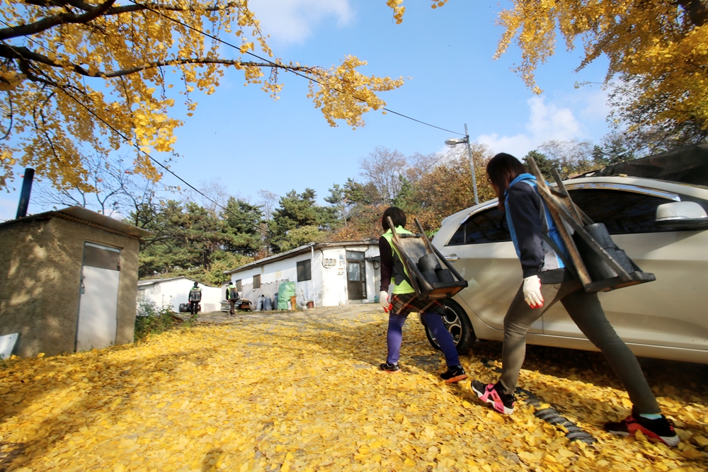 (151120)사랑의 연탄배달(01)