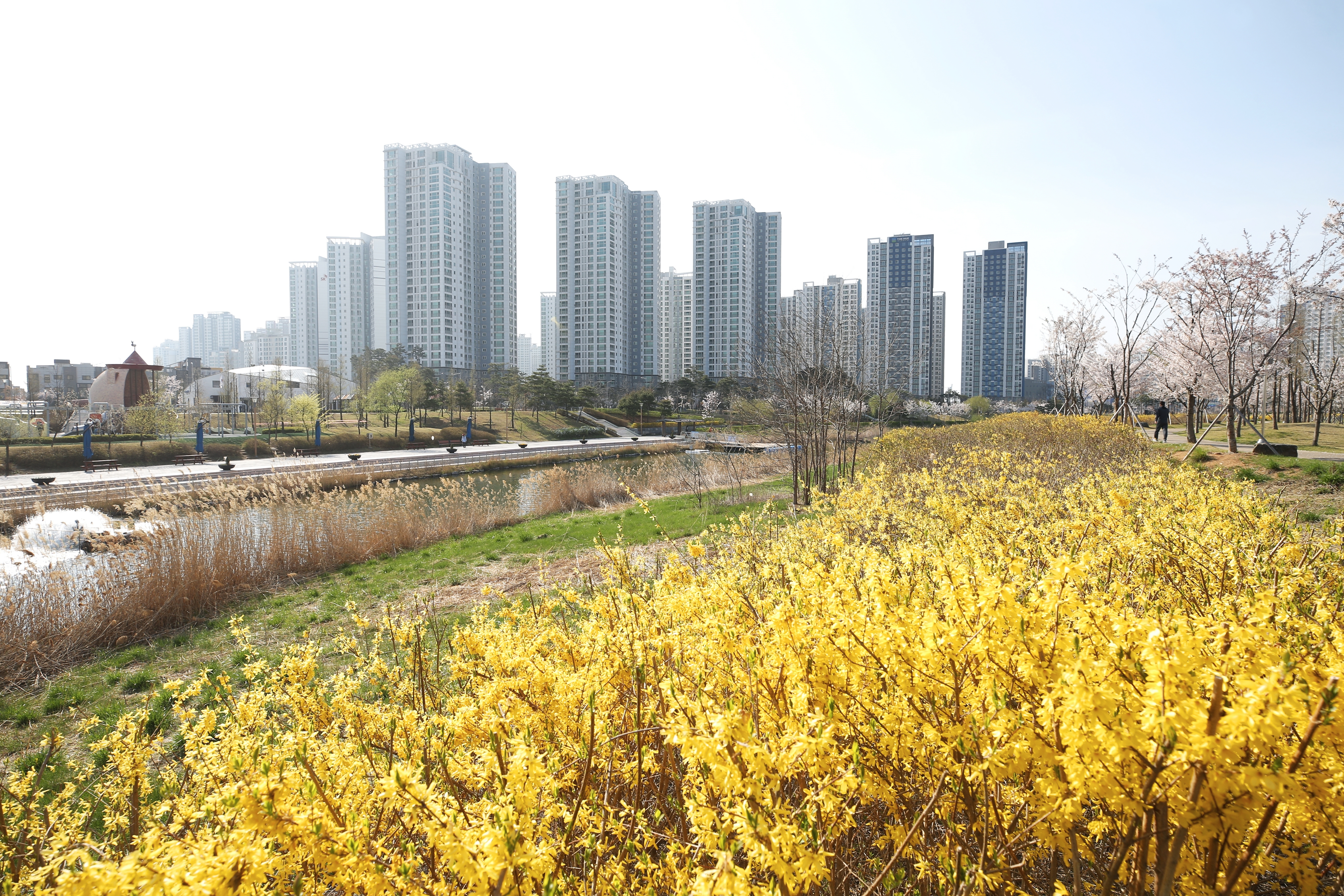 (210408)청라국제도시(3342)-원본