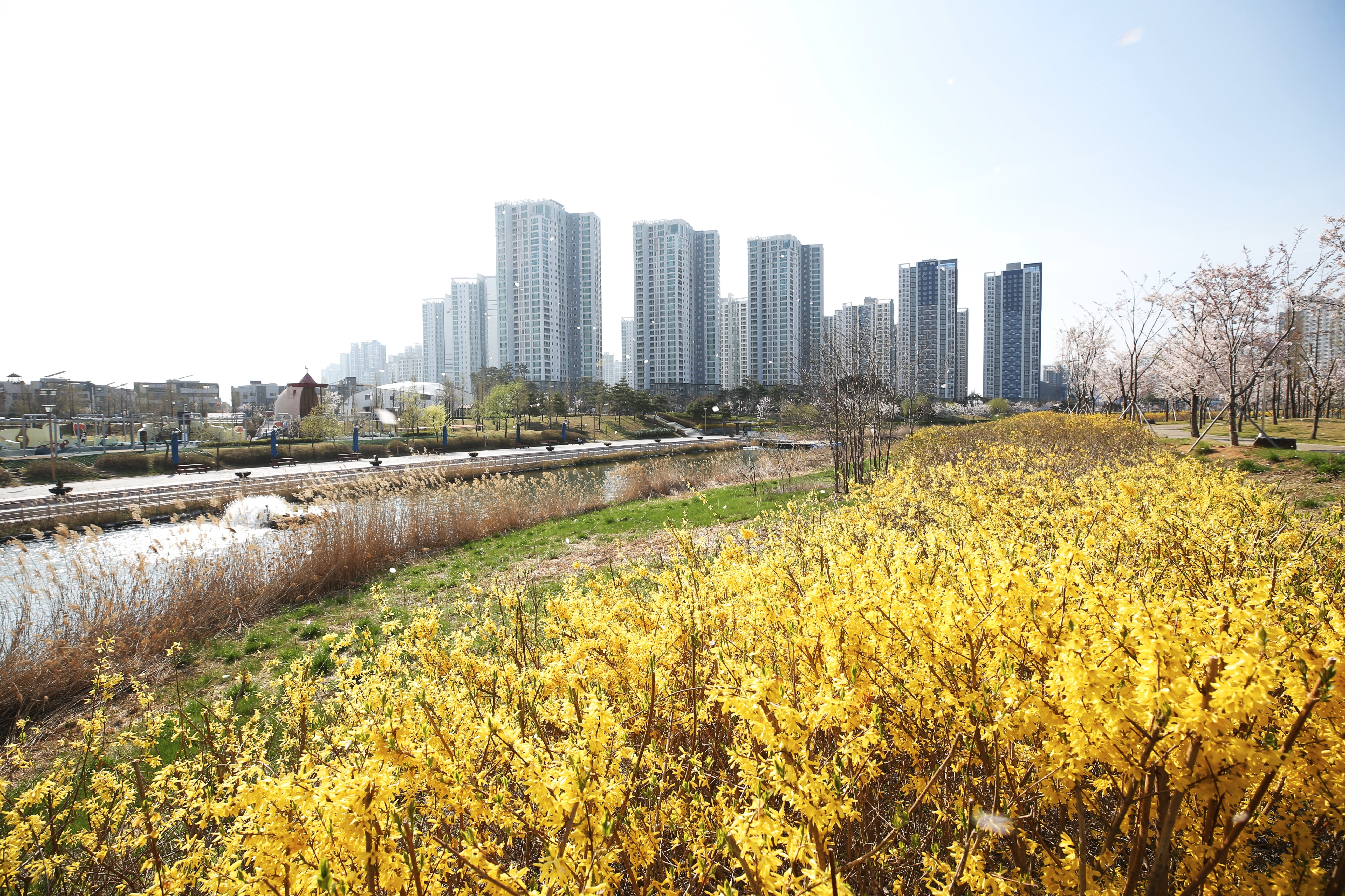 (210408)청라국제도시(3341)-원본