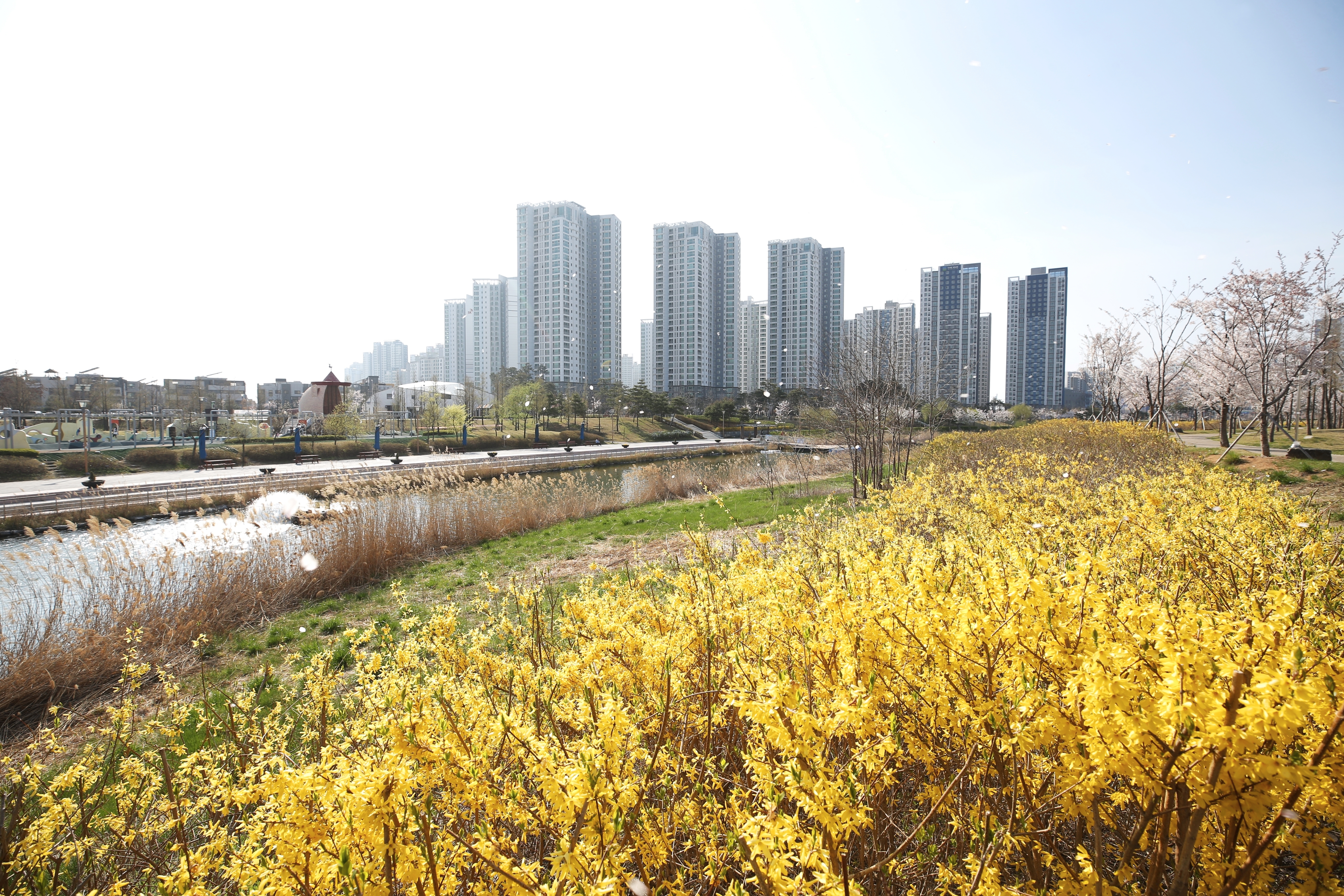 (210408)청라국제도시(3340)-원본