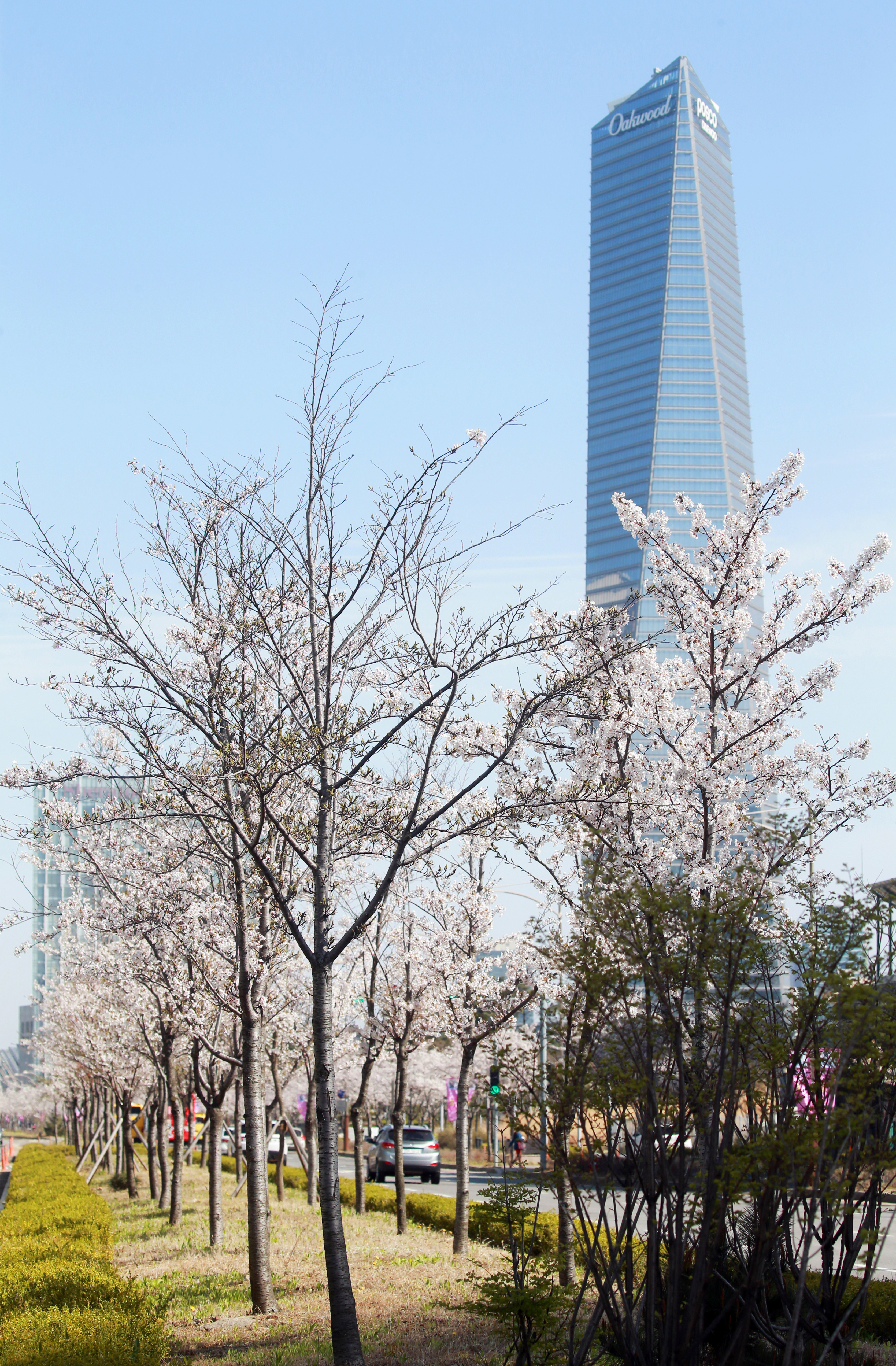 (180412)송도국제도시(5967)-원본