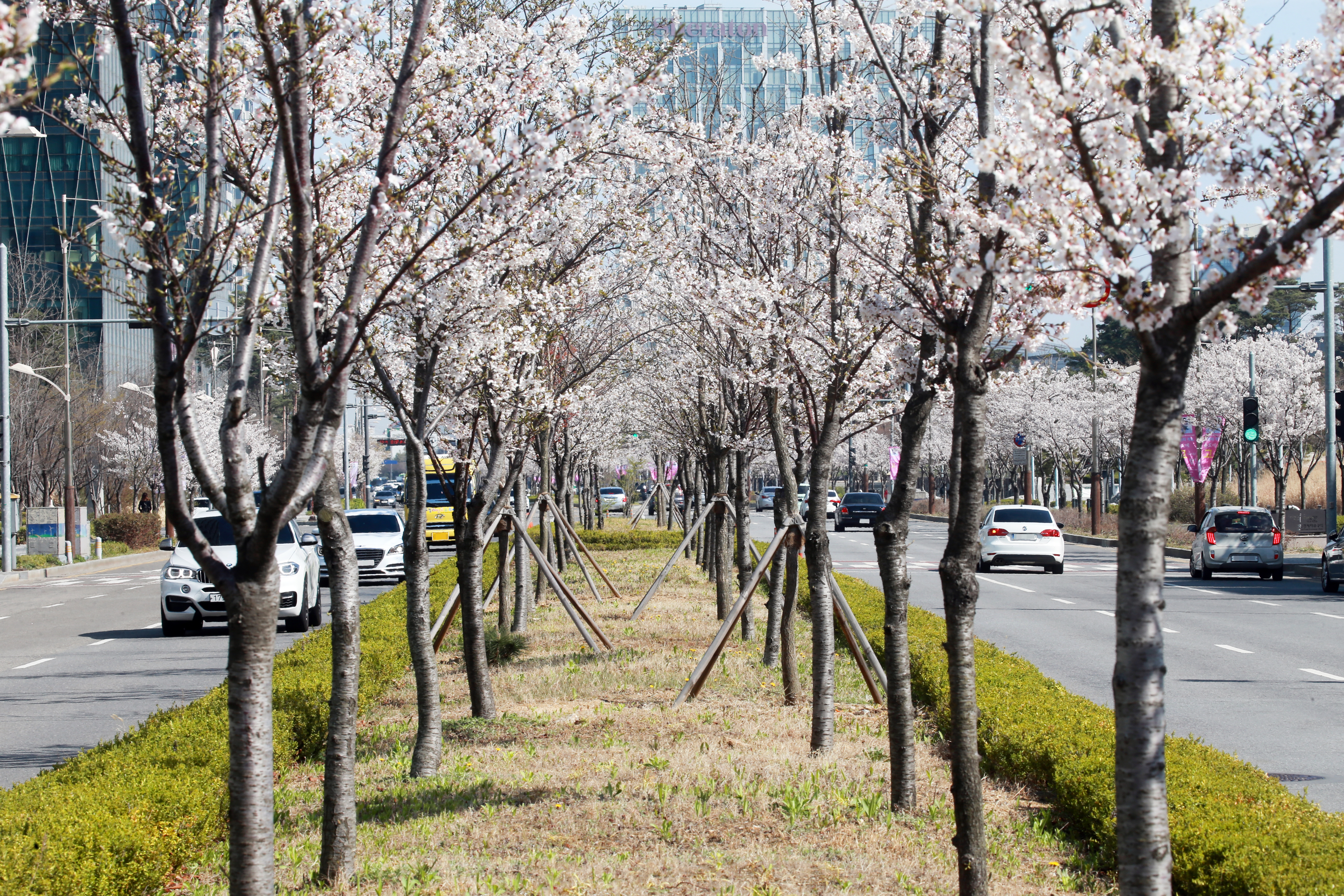 (180412)송도국제도시(5965)-원본