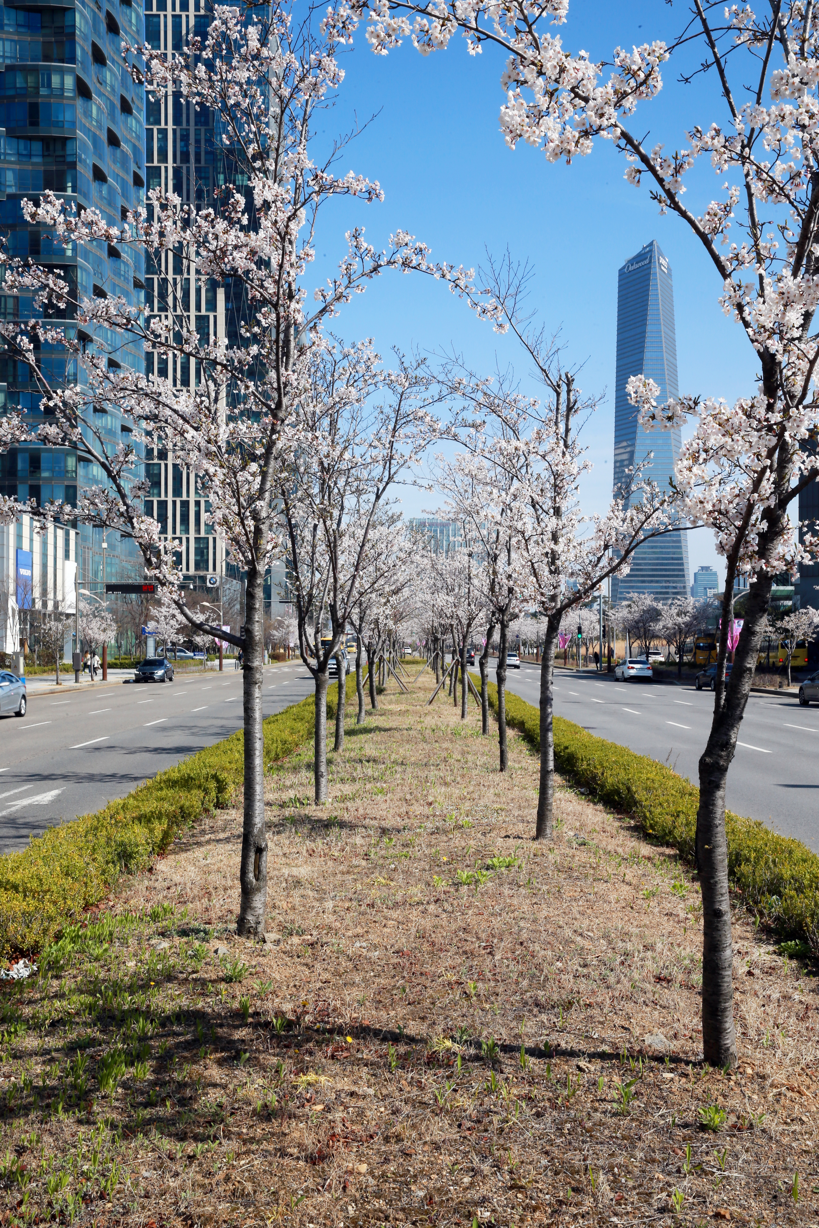 (180412)송도국제도시(5964)-원본