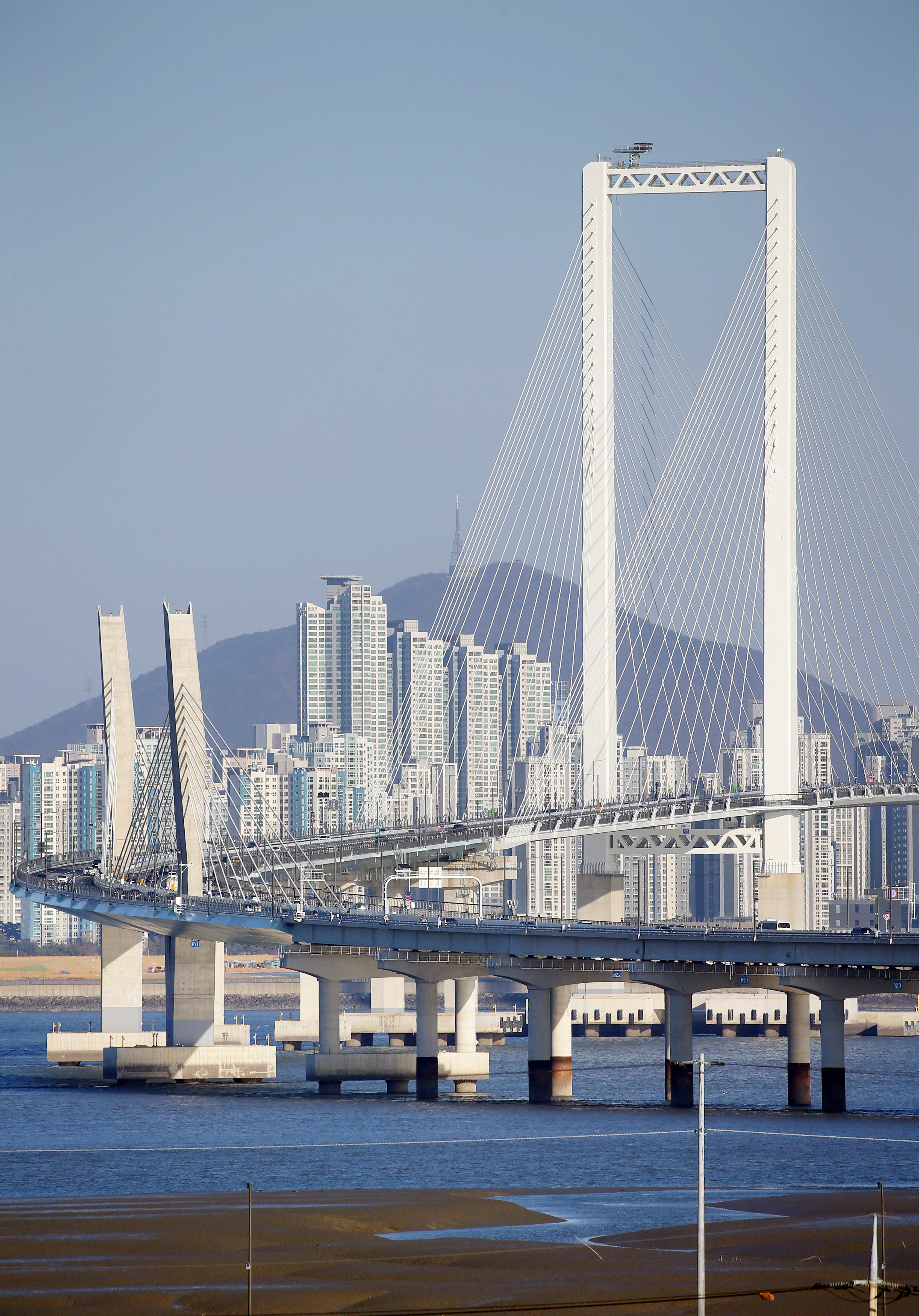 (260105)제3연륙교 사용 개시(5816)