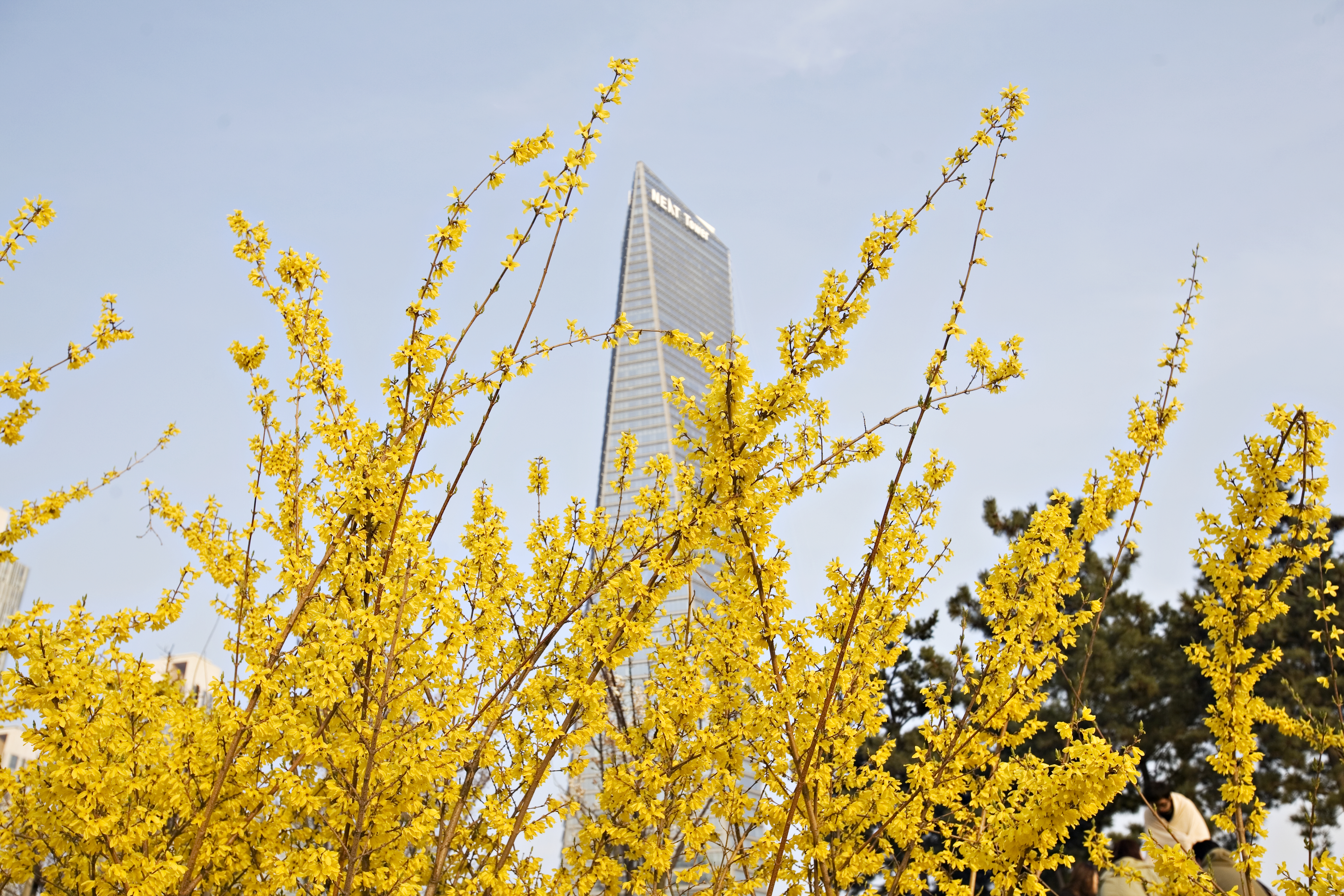 (150411)IFEZ 송도국제도시(5411)-원본