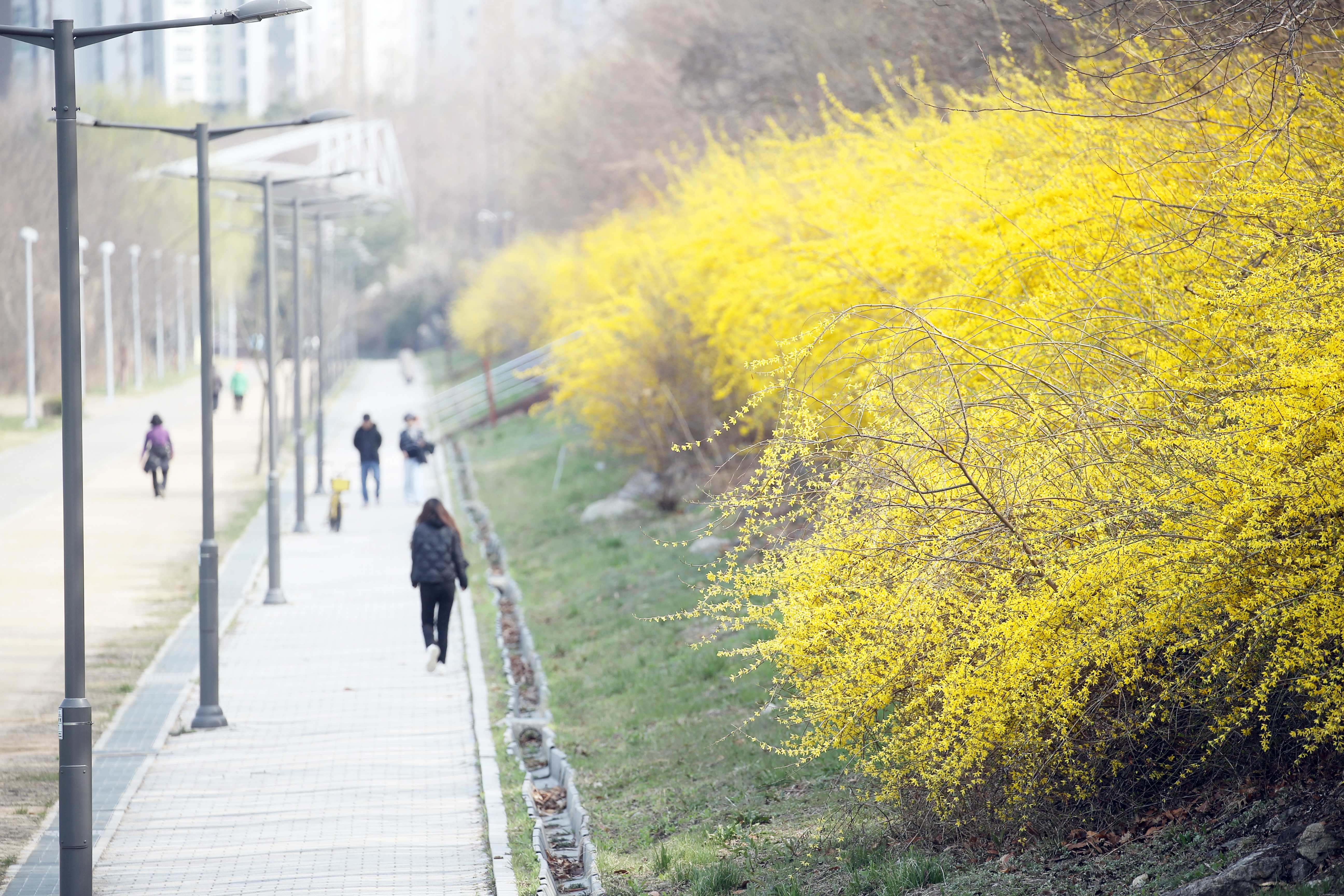 (250407)송도국제도시(0240)-원본