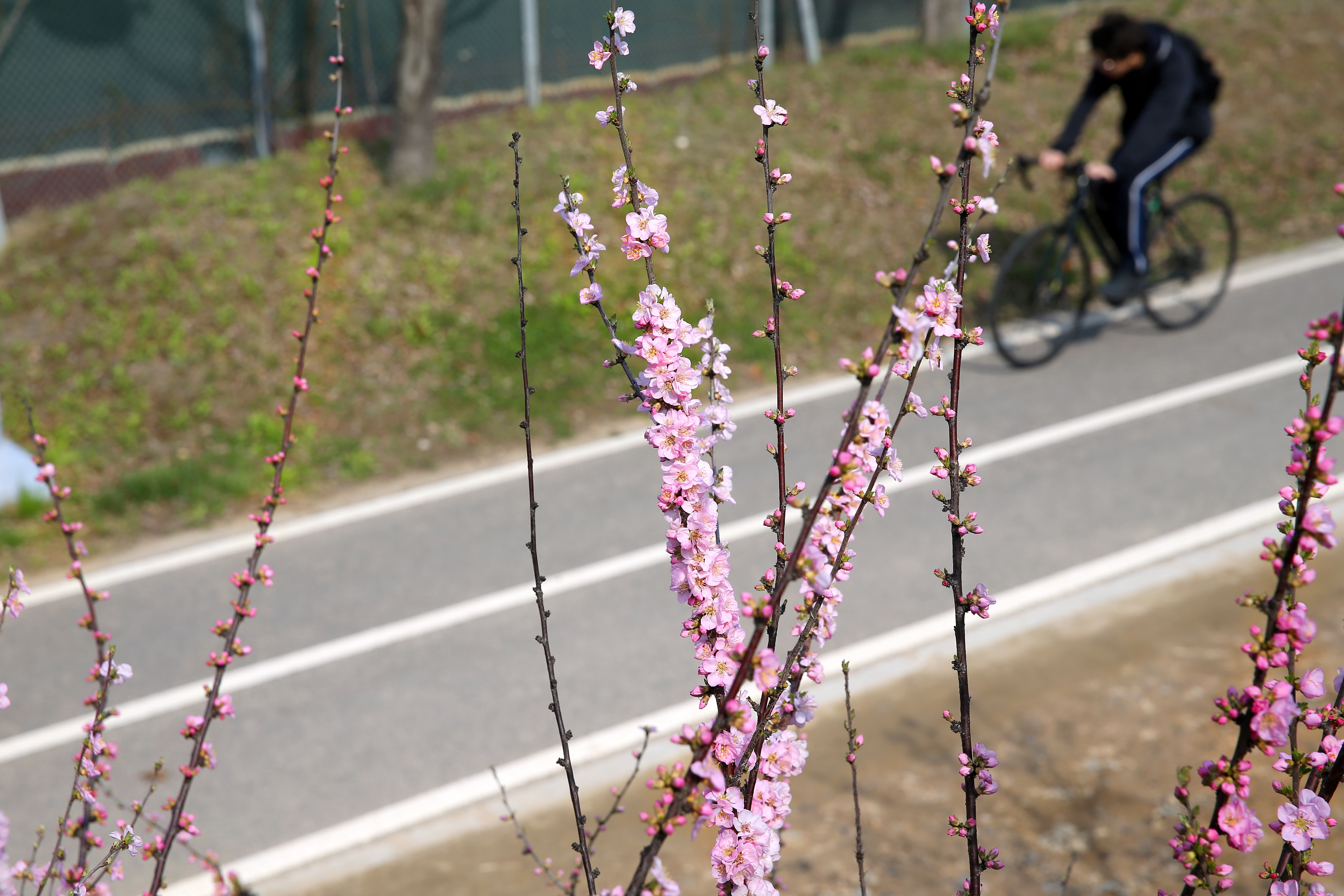 (250407)송도국제도시(0242)-원본
