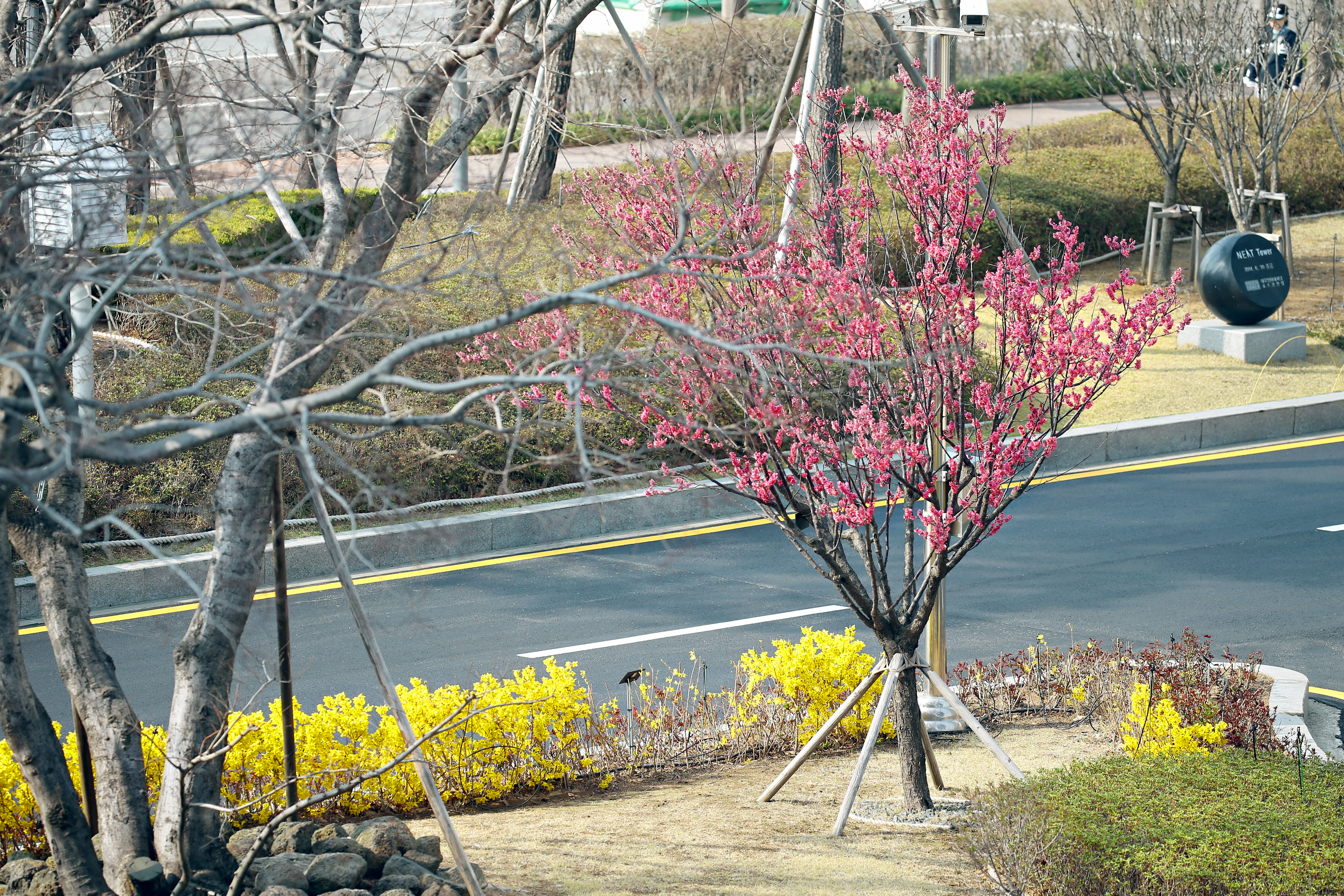 (250407)송도국제도시(0248)-원본