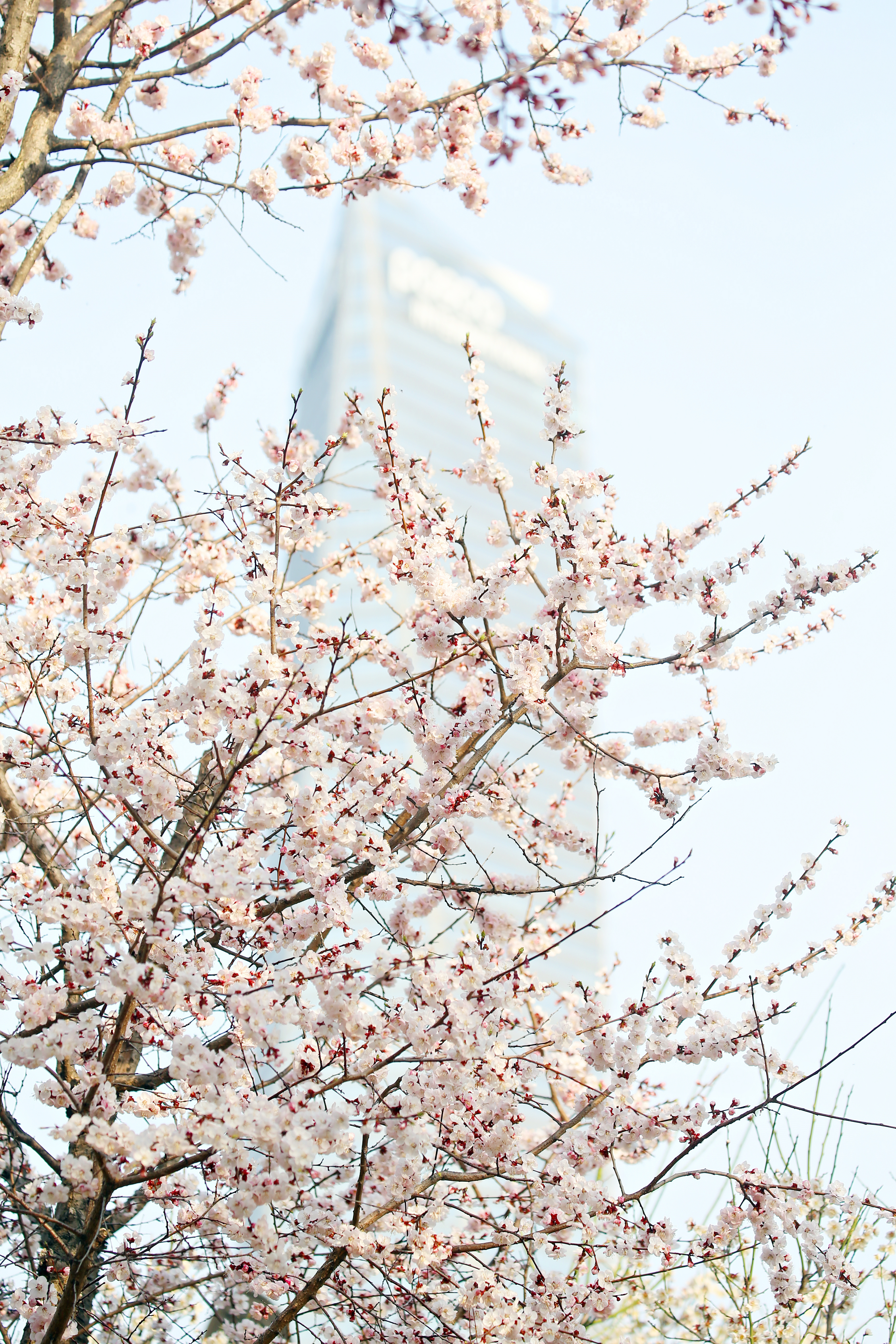 (250407)송도국제도시(0254)-원본