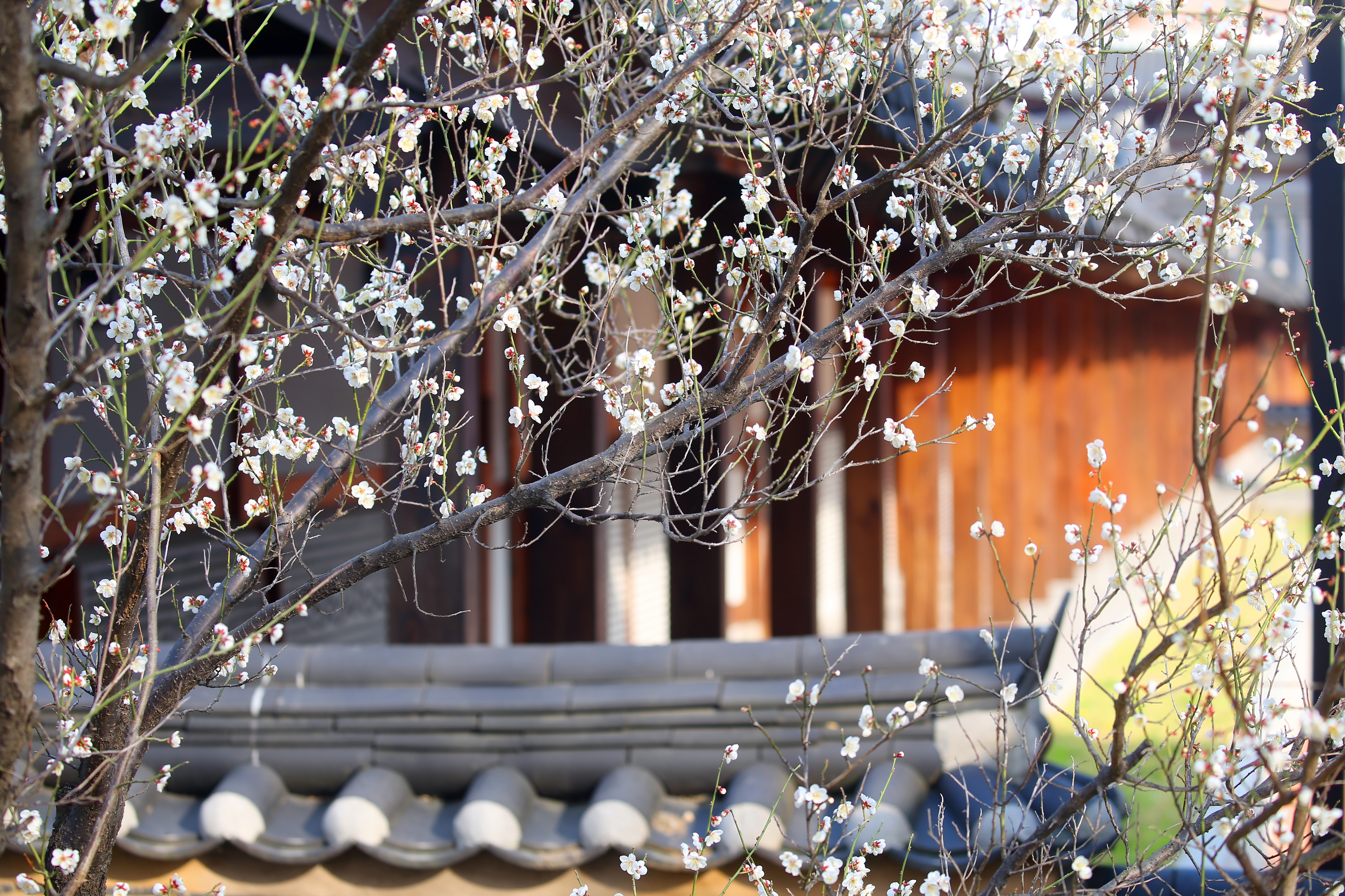 (250407)송도국제도시(0256)-원본