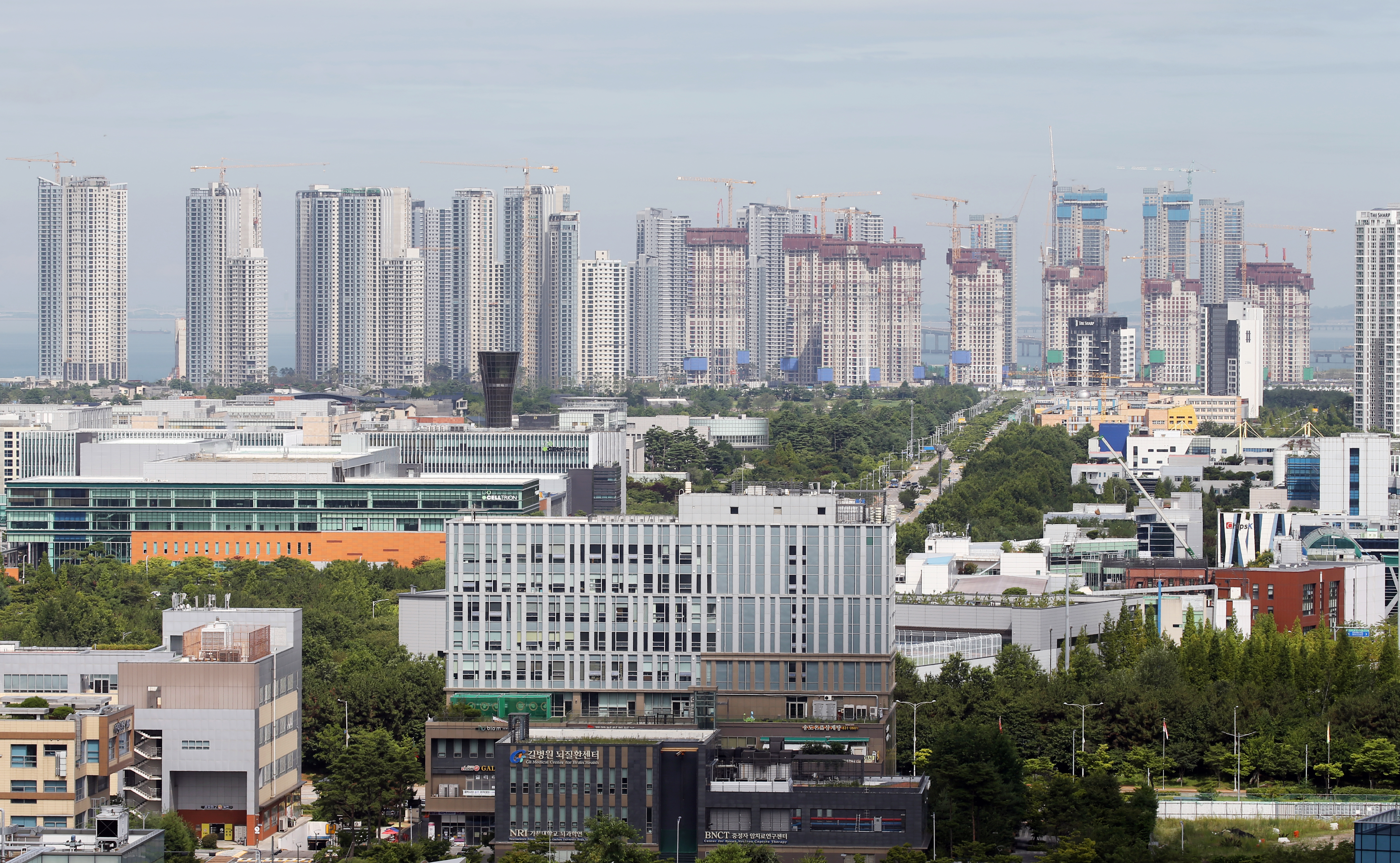 (240710)송도국제도시(6463)-원본