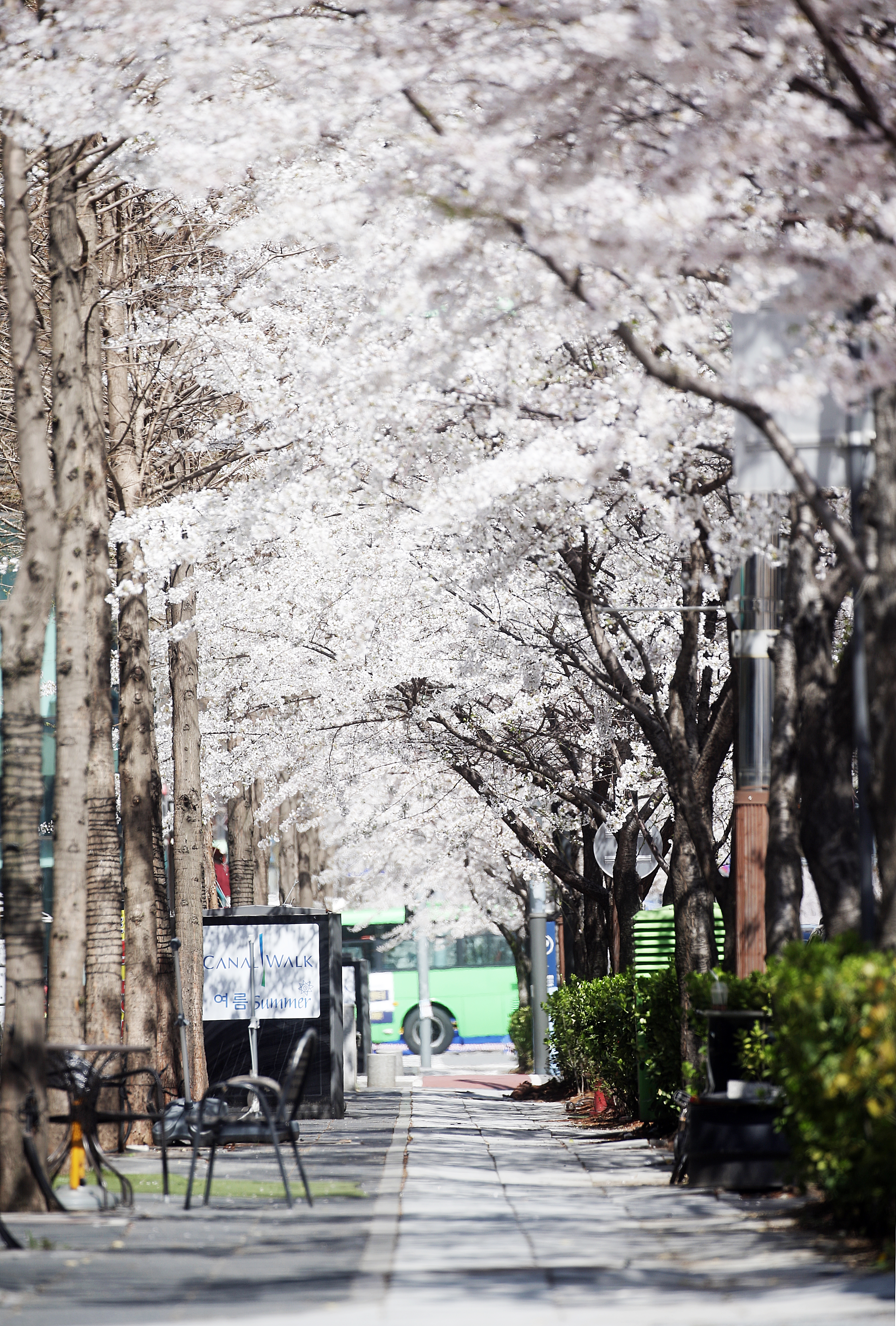 (210405)송도국제도시(2860)-원본