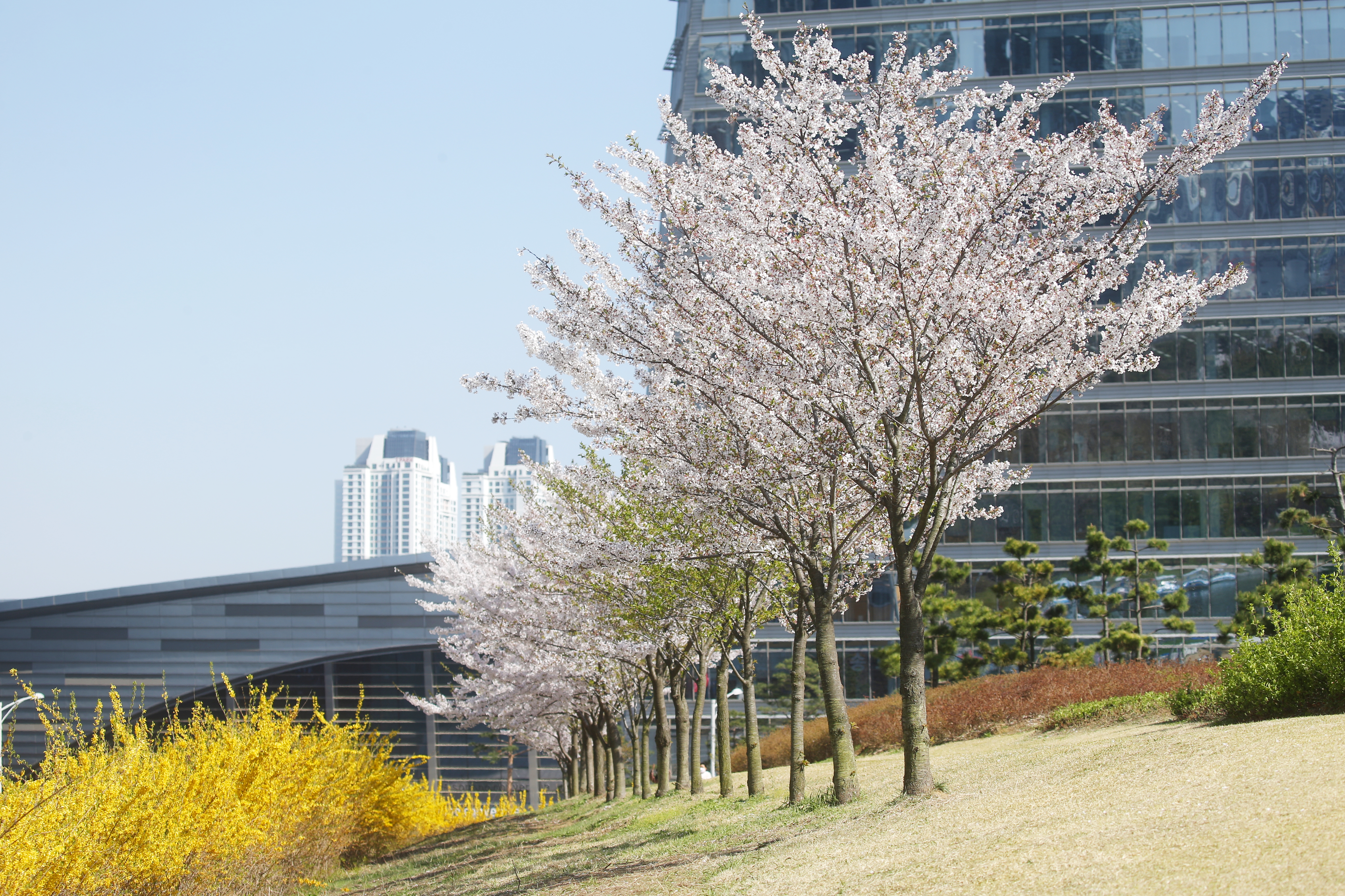 (210408)송도국제도시(3410)-원본
