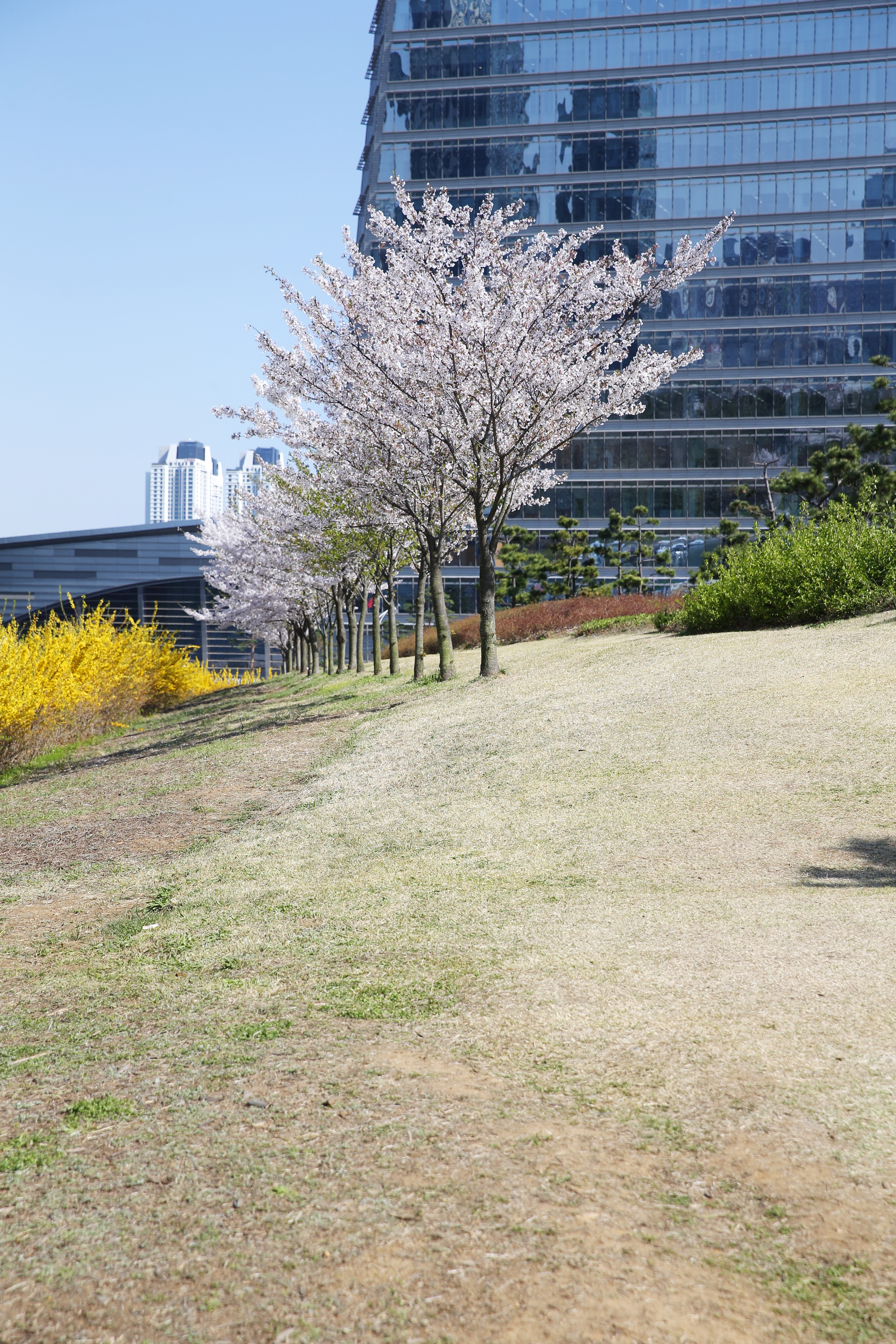 (210408)송도국제도시(3409)-원본