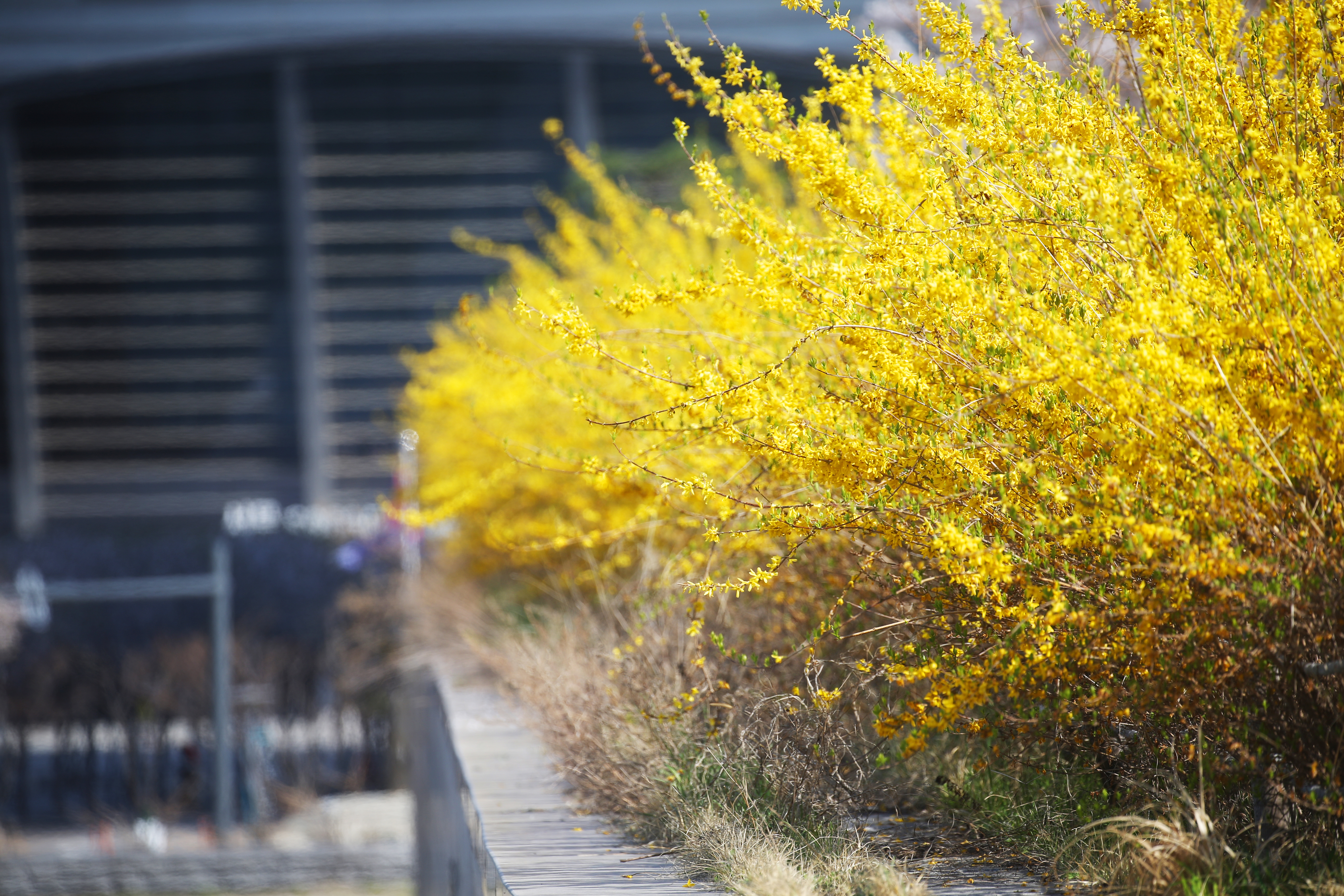 (210408)송도국제도시(3419)-원본
