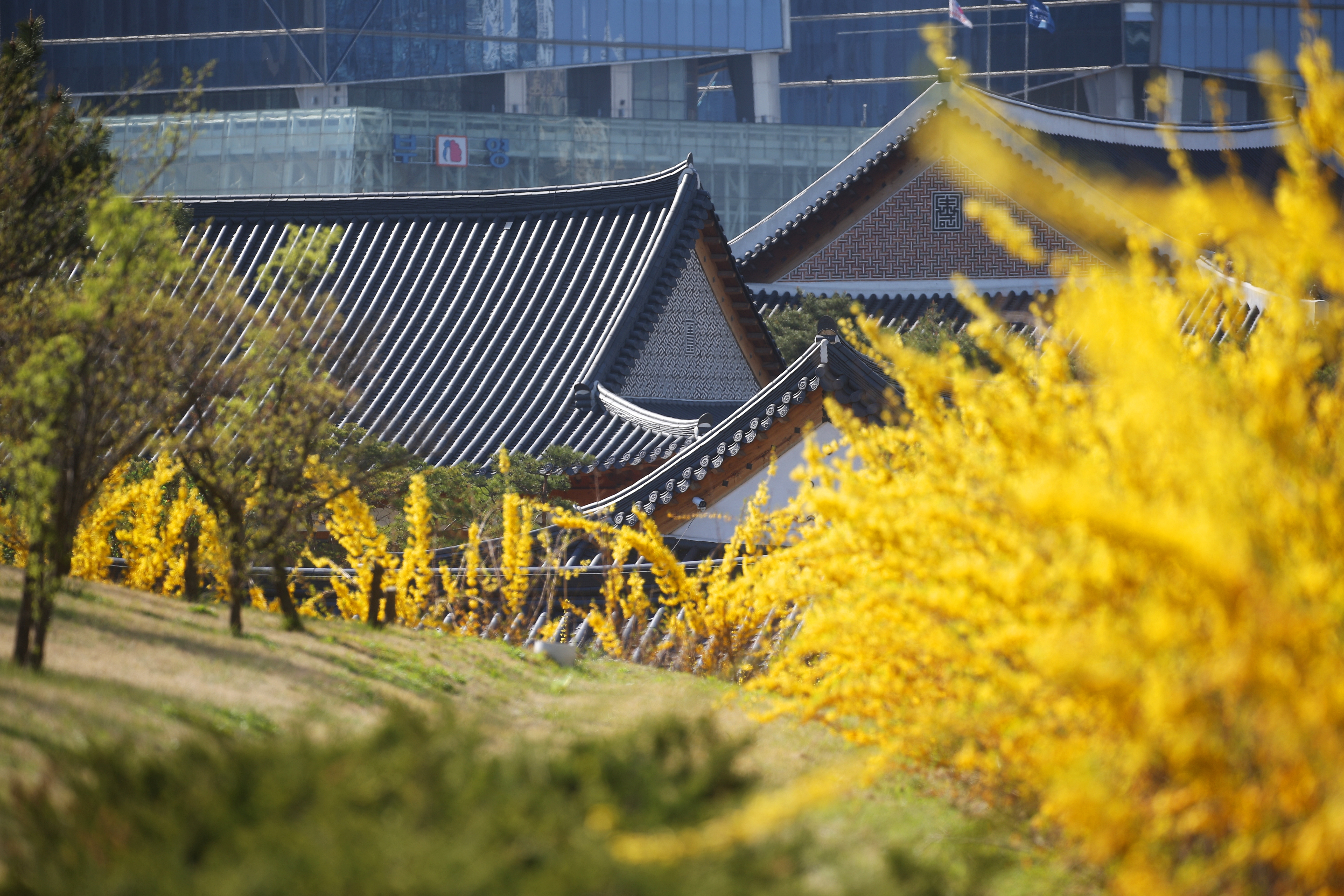 (210408)송도국제도시(3418)-원본