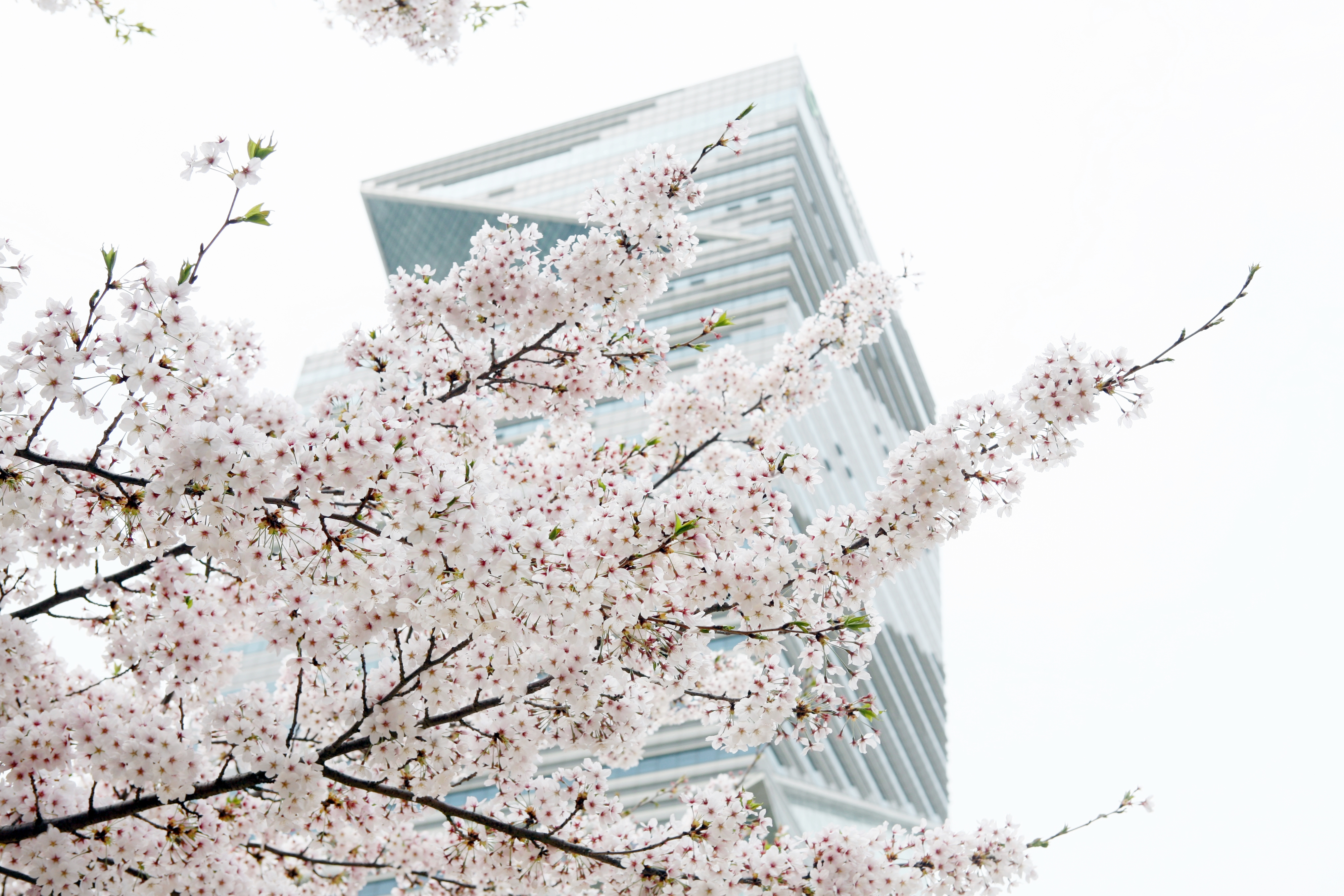 (240411)송도국제도시(1039)-원본