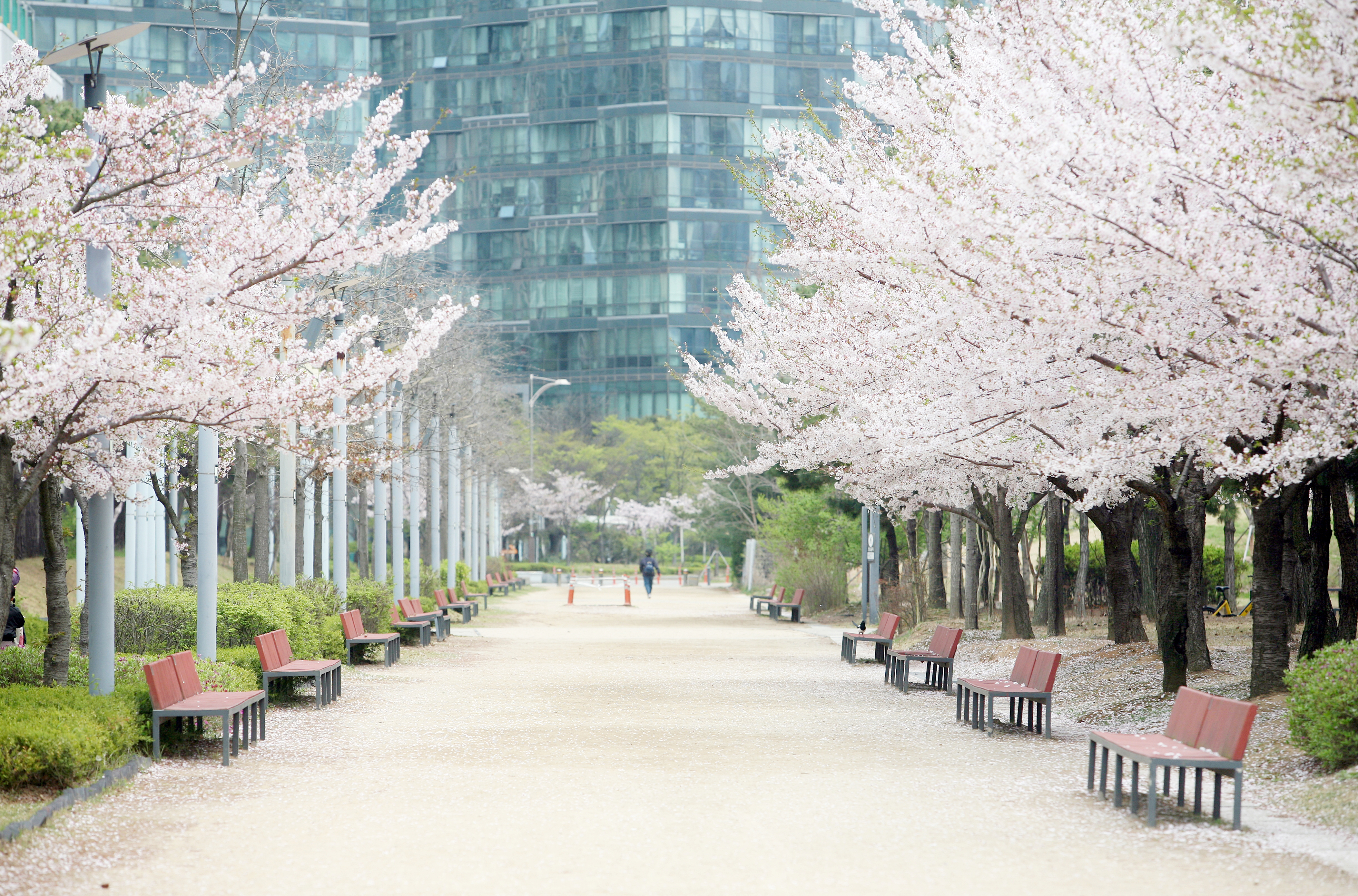 (240411)송도국제도시(1035)-원본