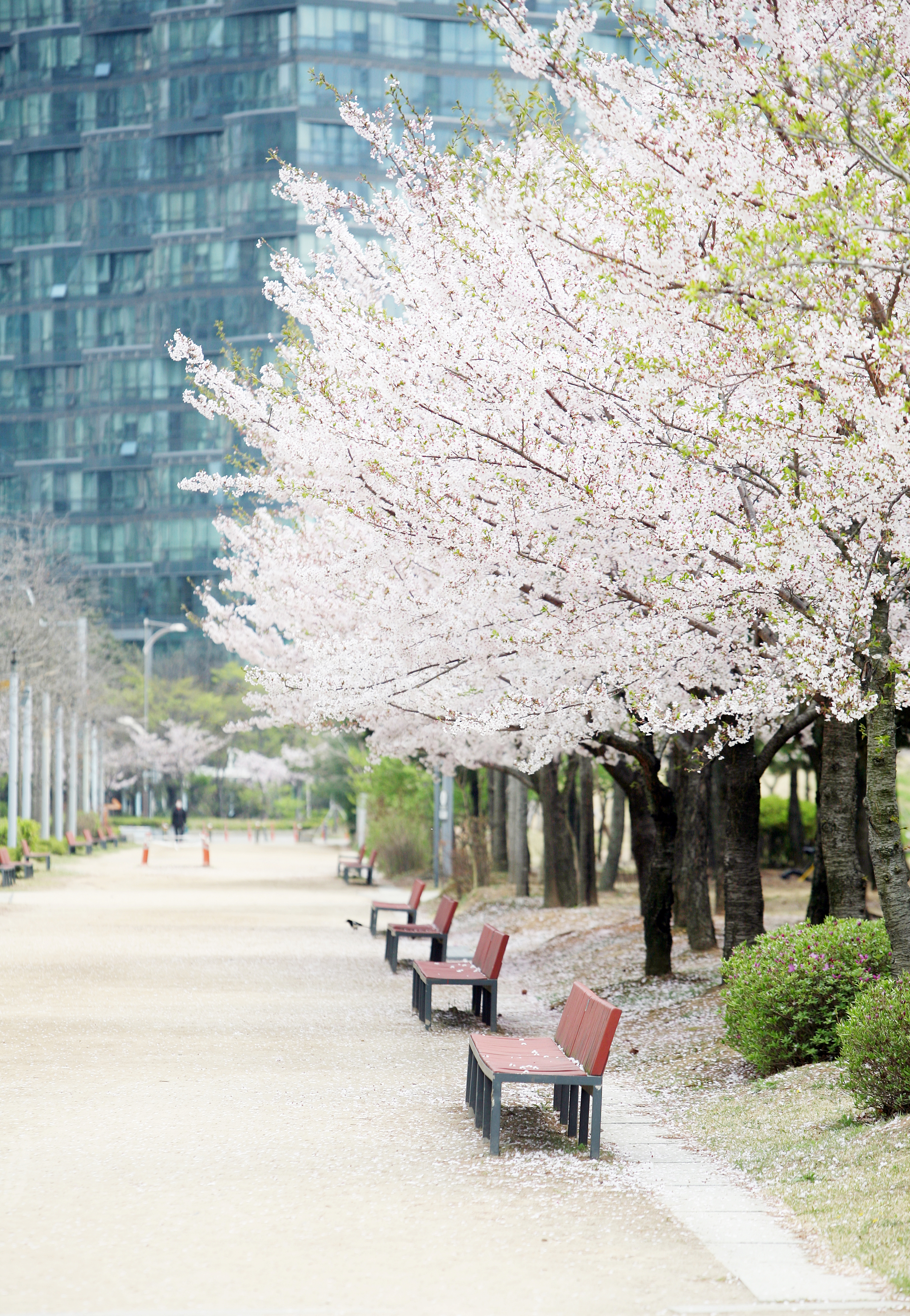 (240411)송도국제도시(1034)-원본