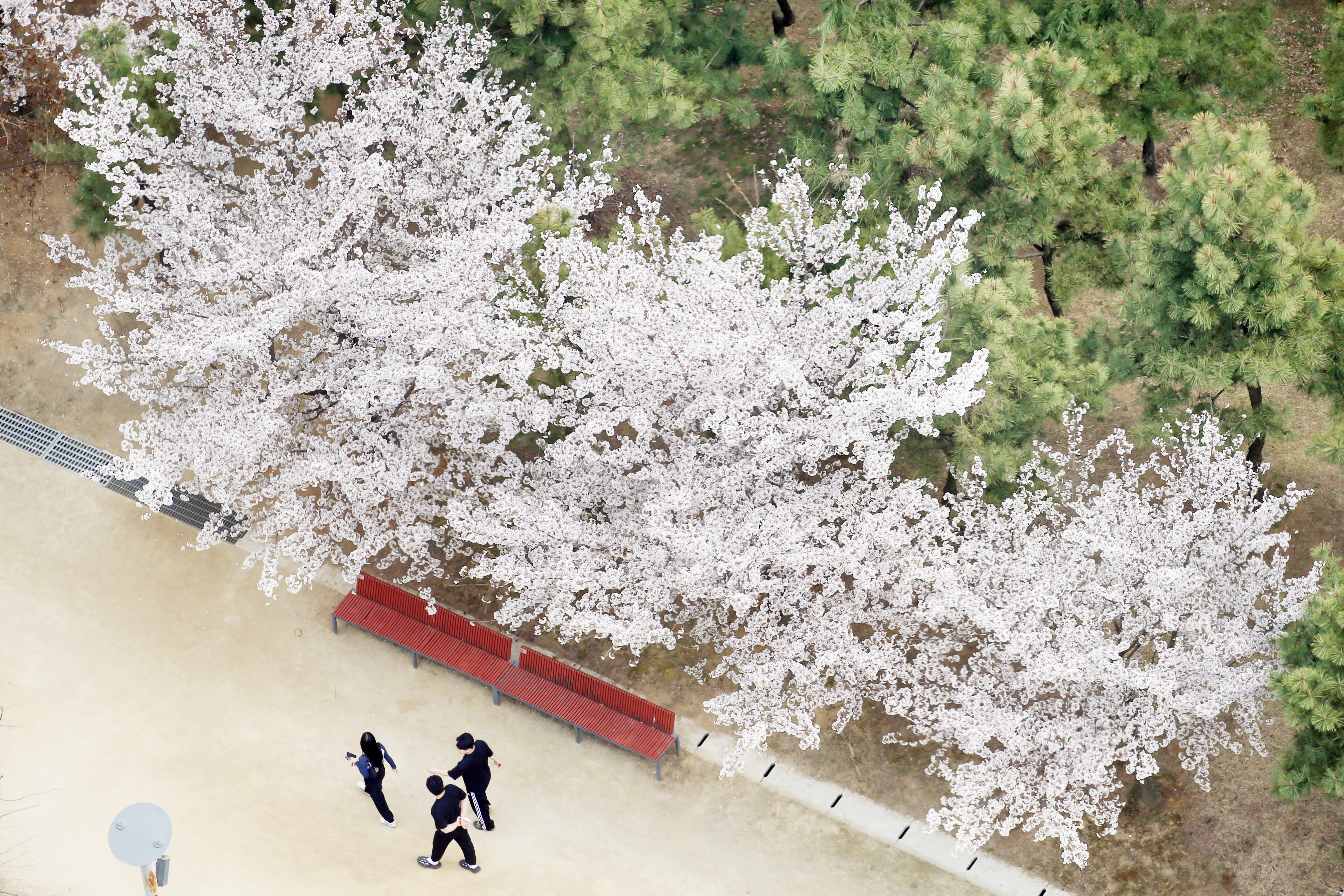 (240408)송도국제도시(7665)-원본