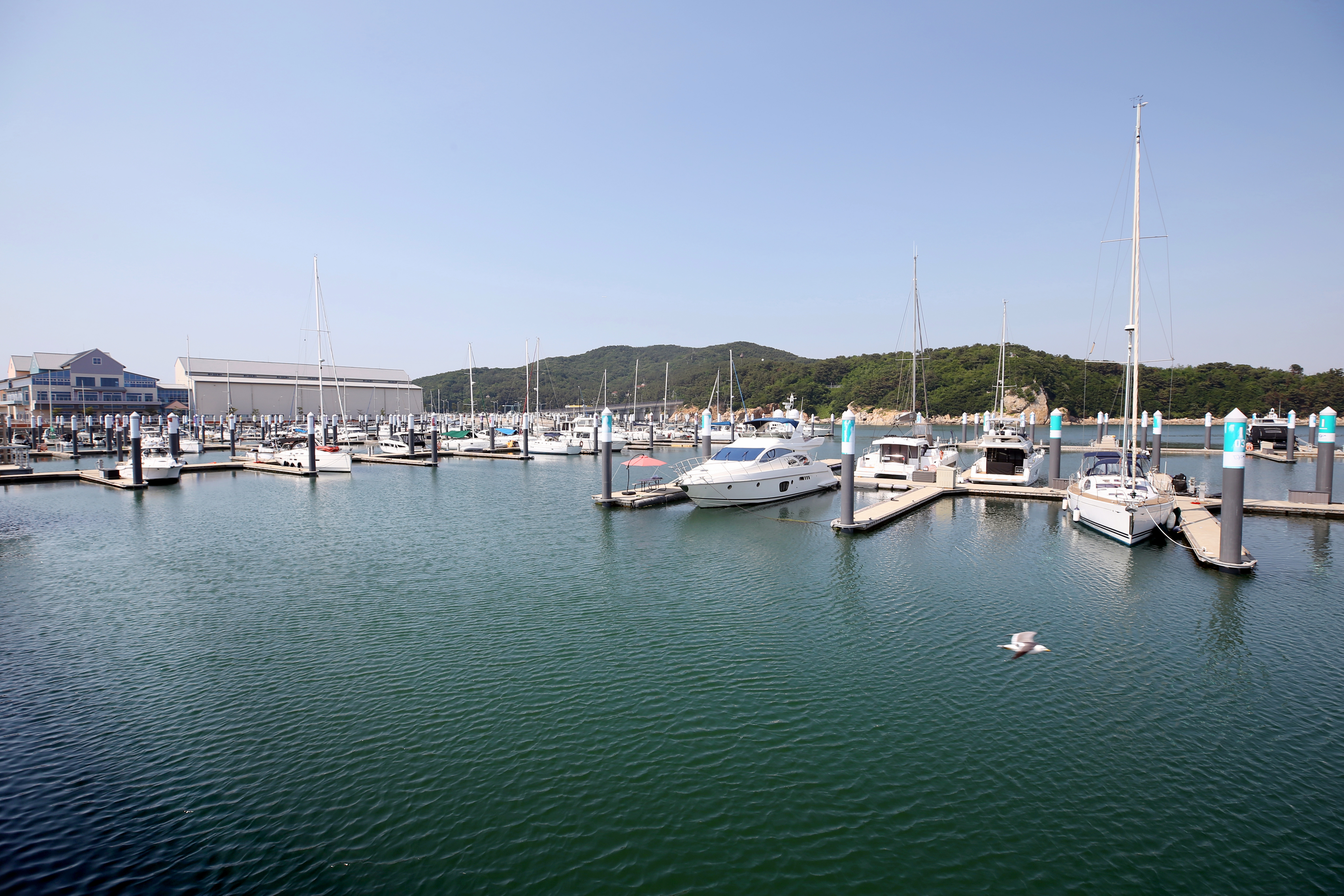 (240619)영종국제도시(2519)-원본