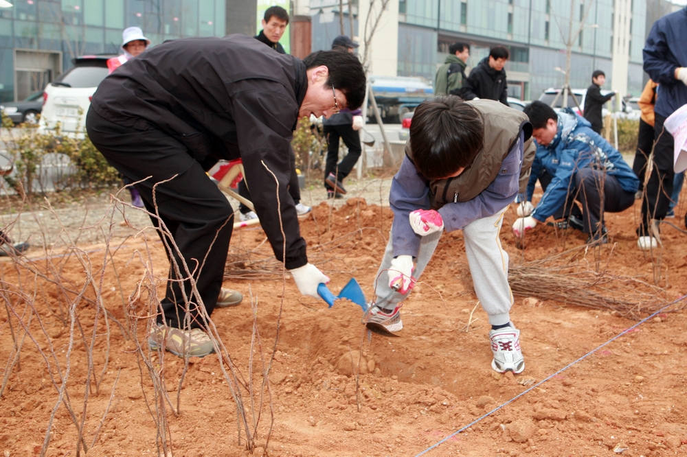 (110409)해당화 꽃길 조성(4934)-1000px