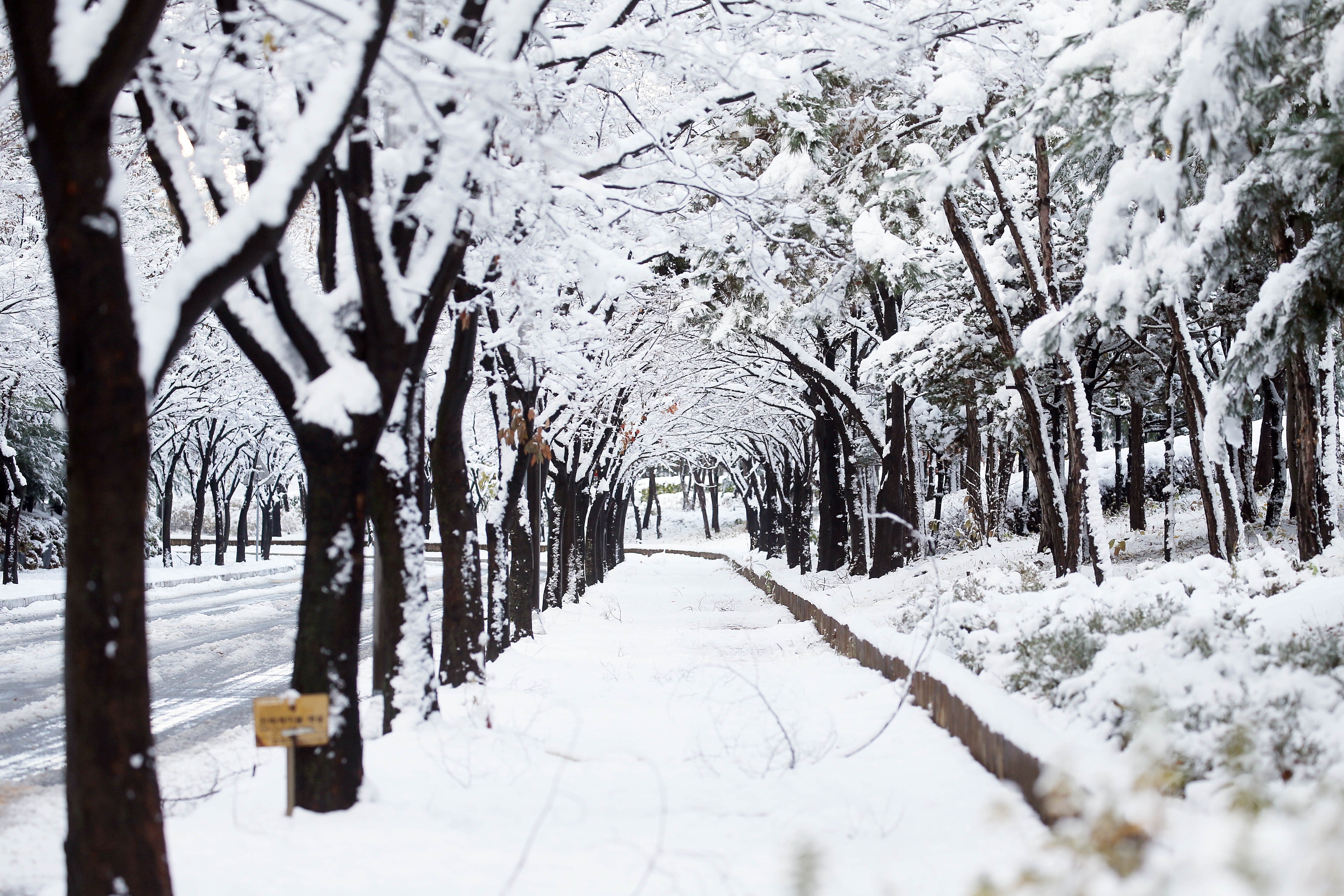 (241127)IFEZ 송도국제도시(1457)-원본