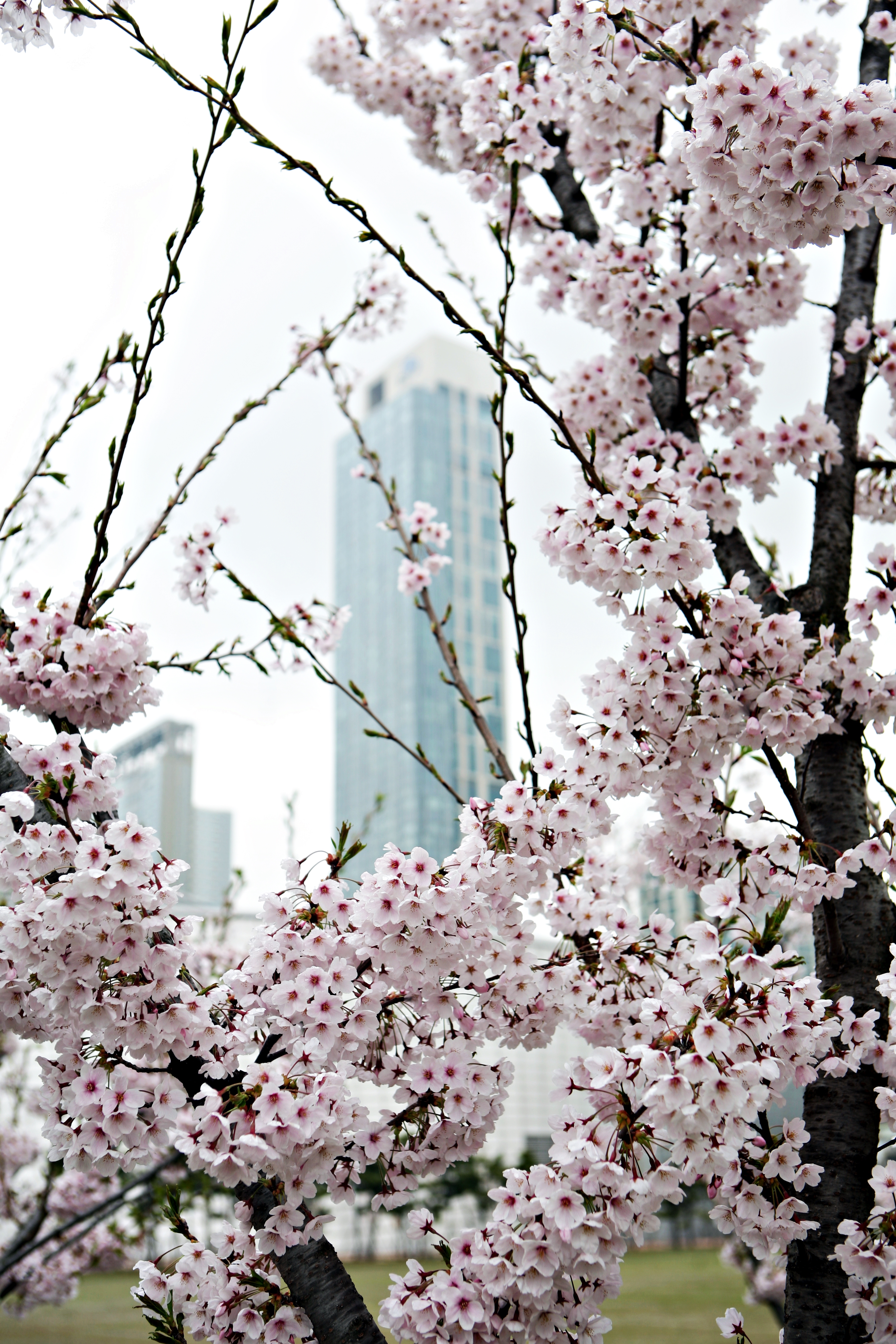 (150414)IFEZ 송도국제도시(5679)-원본