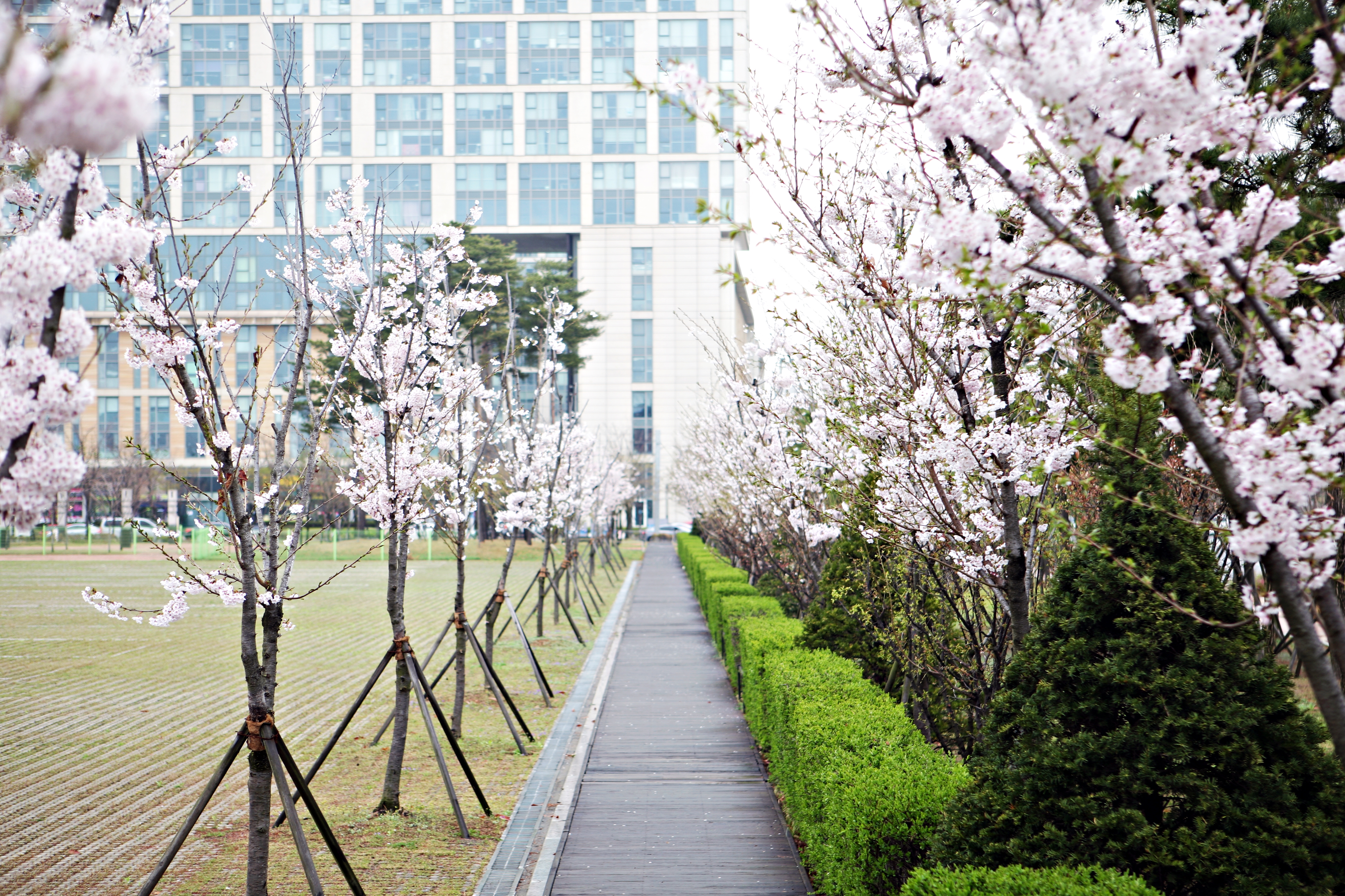 (150414)IFEZ 송도국제도시(5678)-원본