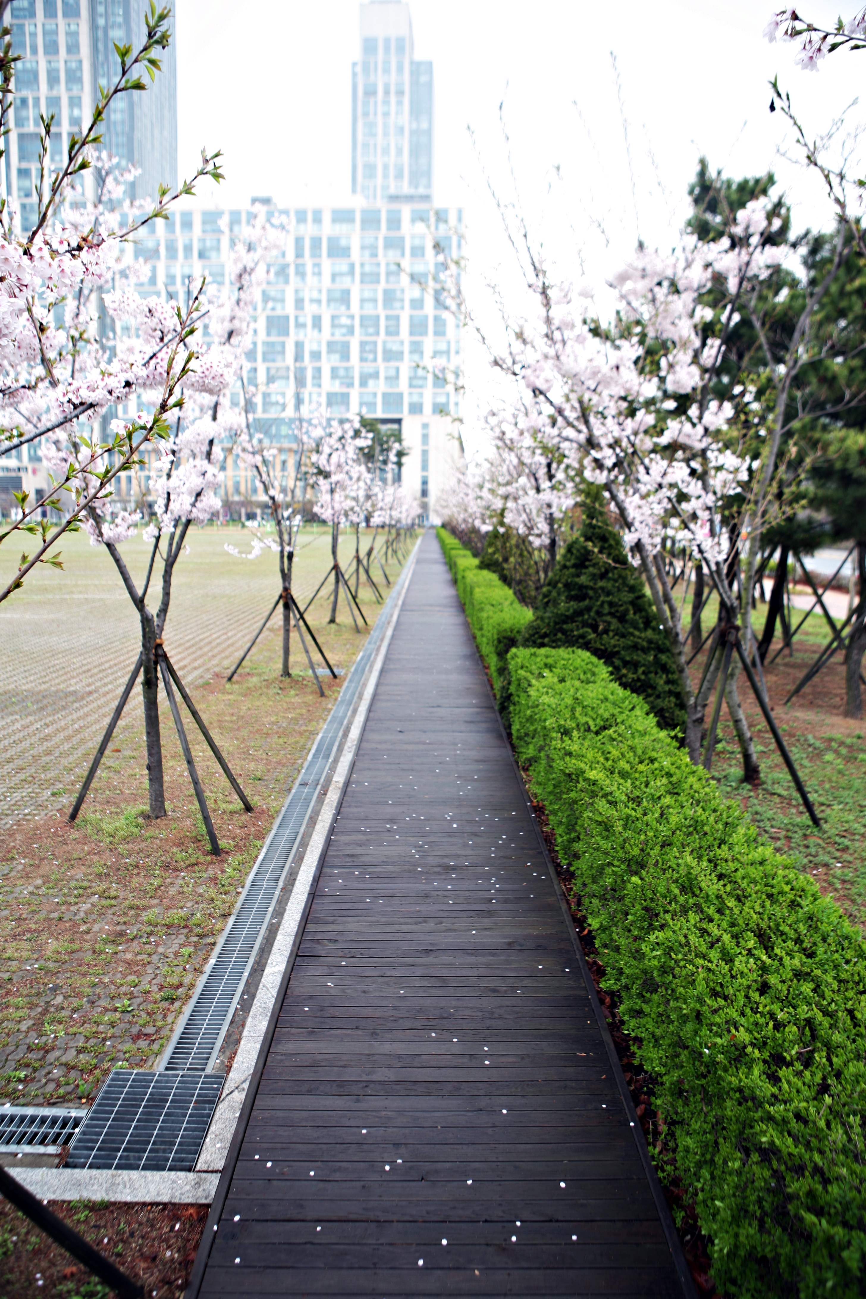 (150414)IFEZ 송도국제도시(5677)-원본